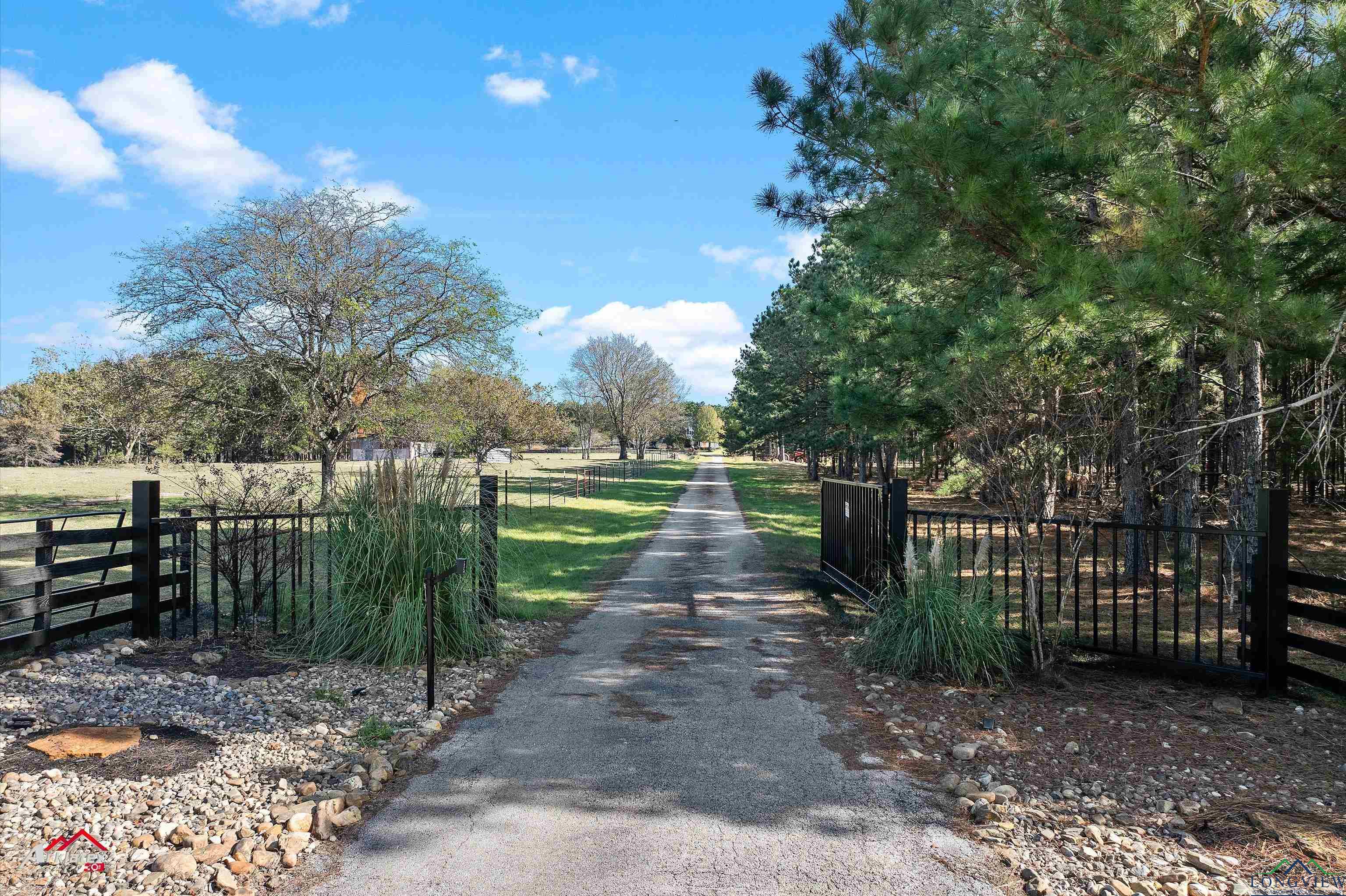 2878 A B Carter Road, Hallsville, Texas image 6