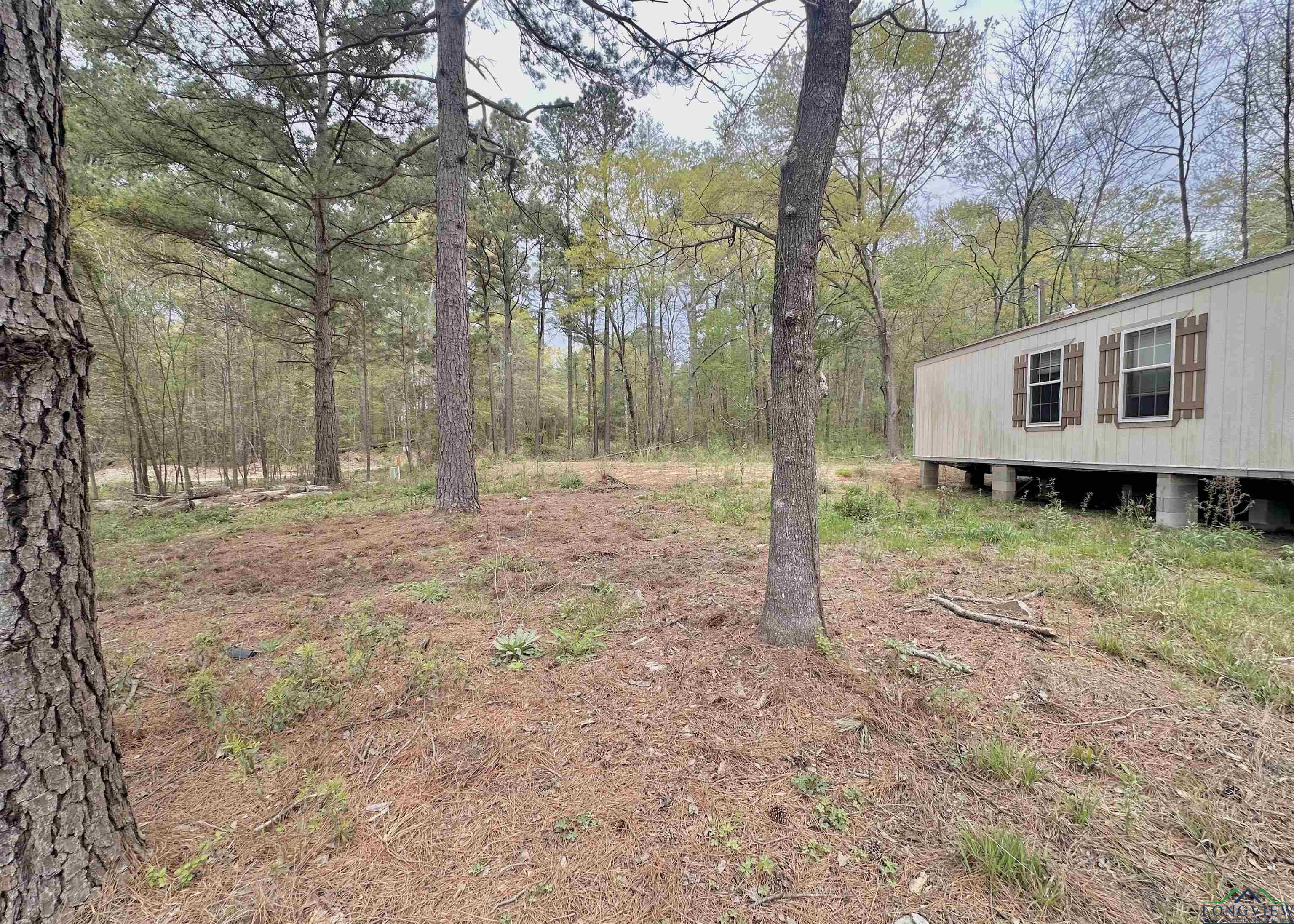 210 Walnut Drive, Harleton, Texas image 15