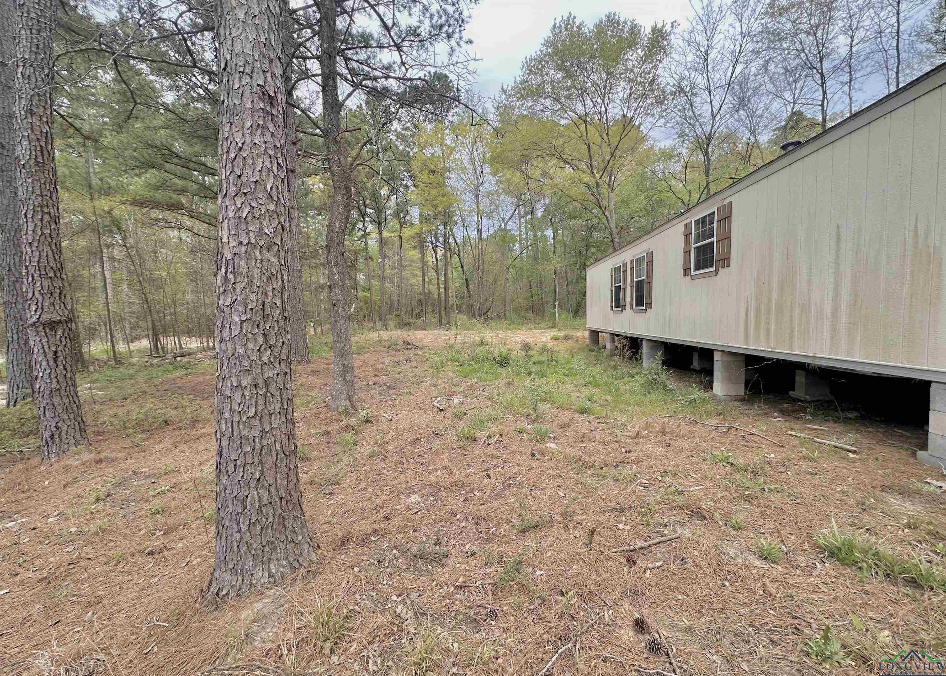 210 Walnut Drive, Harleton, Texas image 14