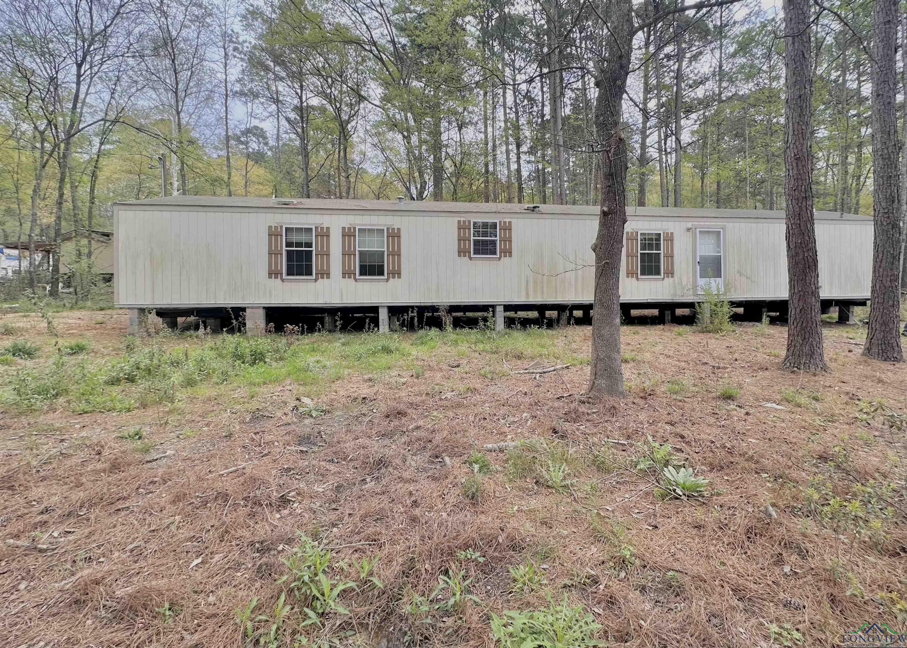 210 Walnut Drive, Harleton, Texas image 1