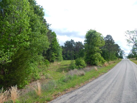 Vacant Land For Sale - TBD Falcon View<br/> Diana, TX 75640
