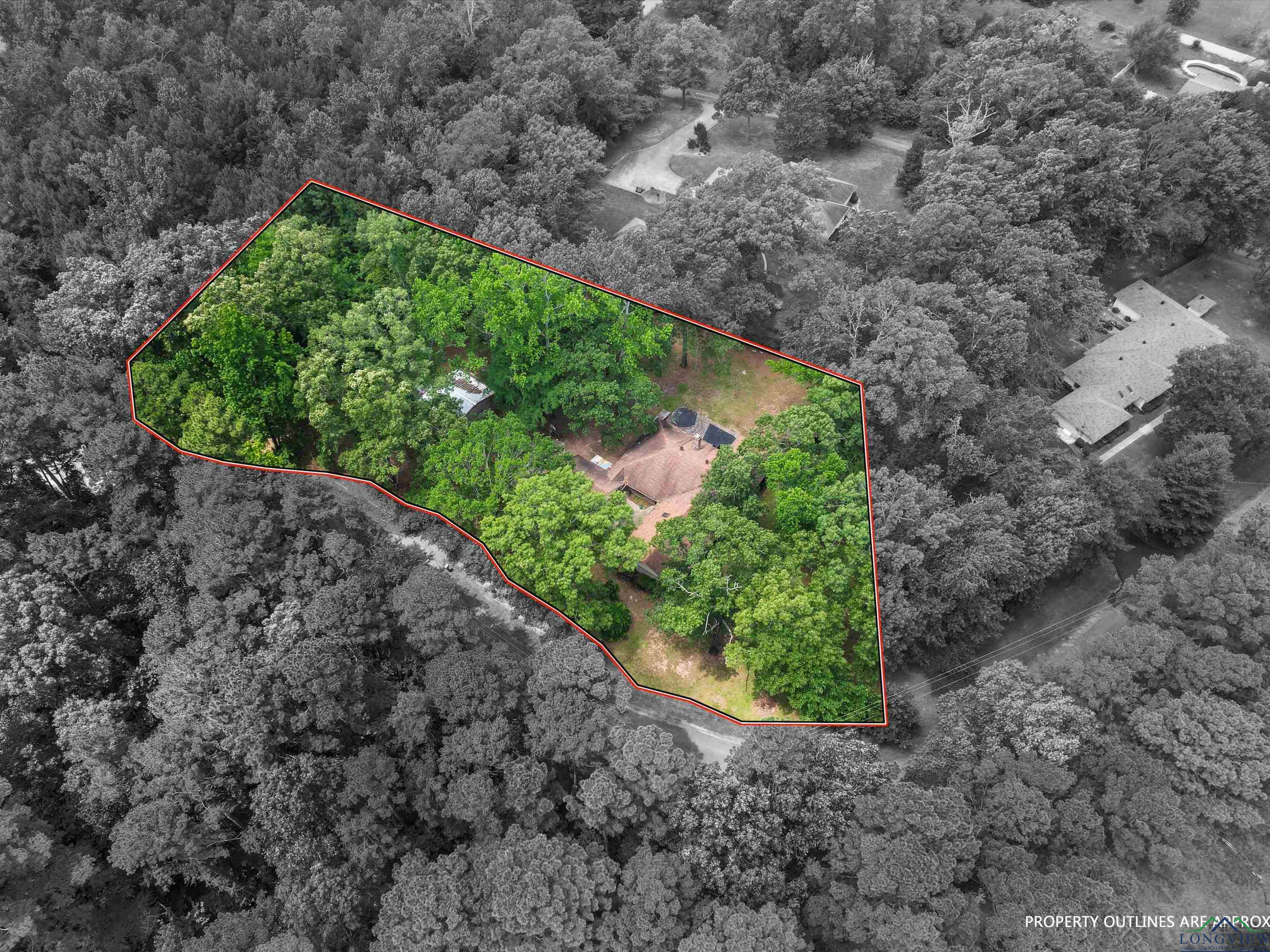 113 County Road 1135, Daingerfield, Texas image 5