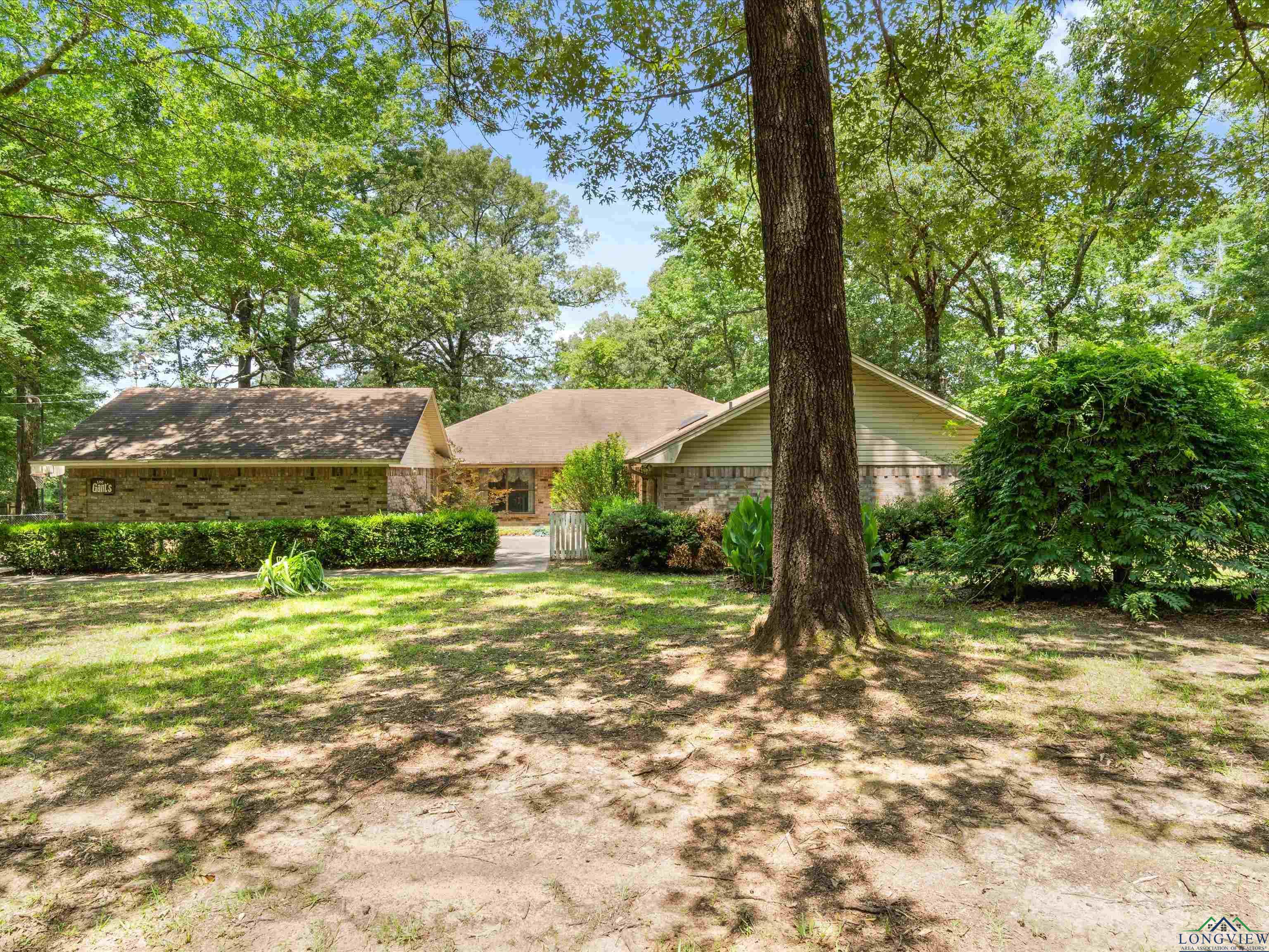 113 County Road 1135, Daingerfield, Texas image 1