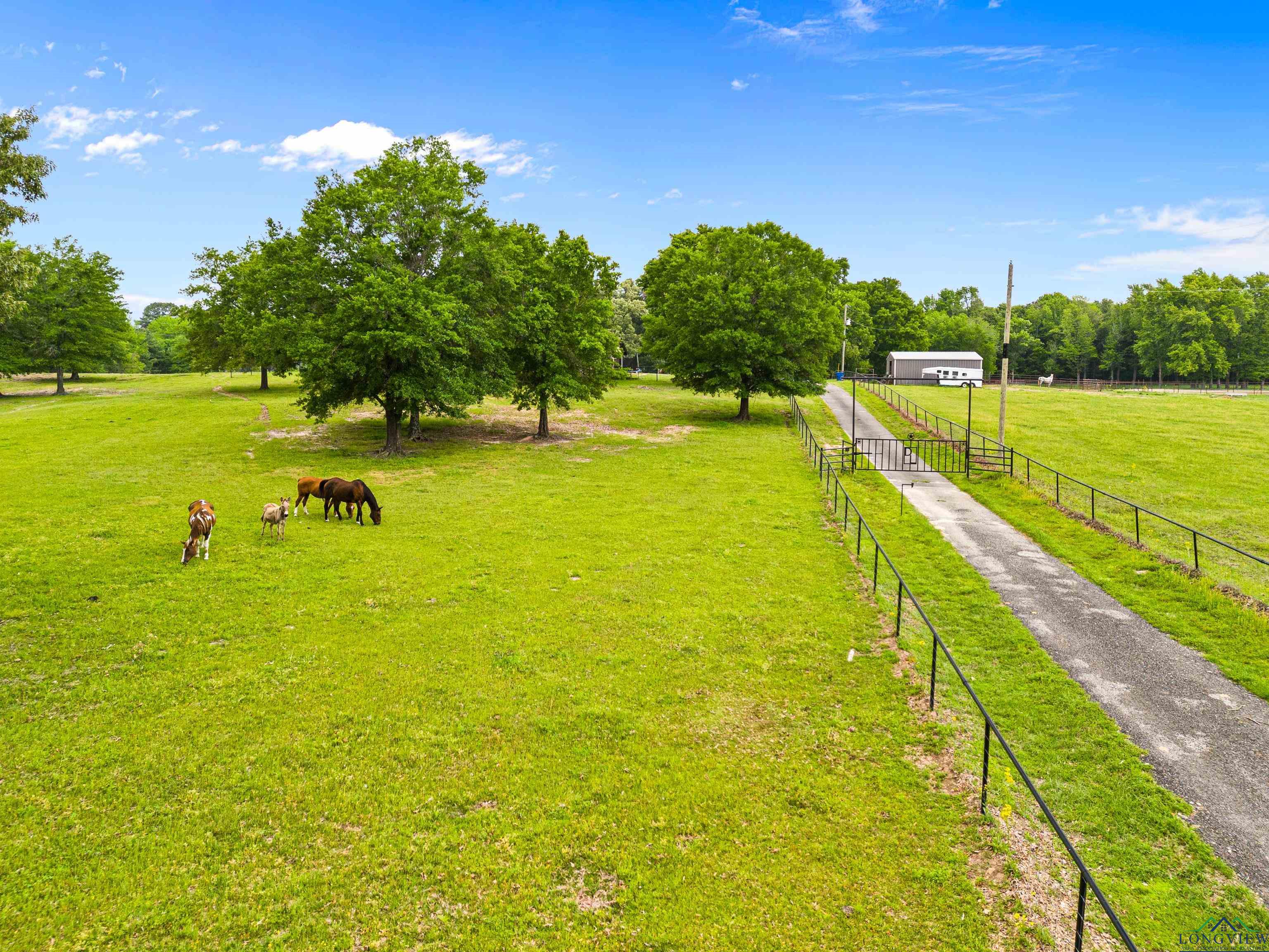 3690 Fm 49, Gilmer, Texas image 37