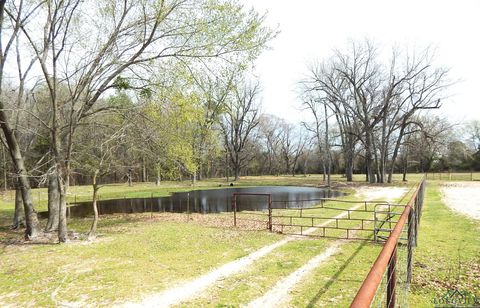 A home in Gilmer