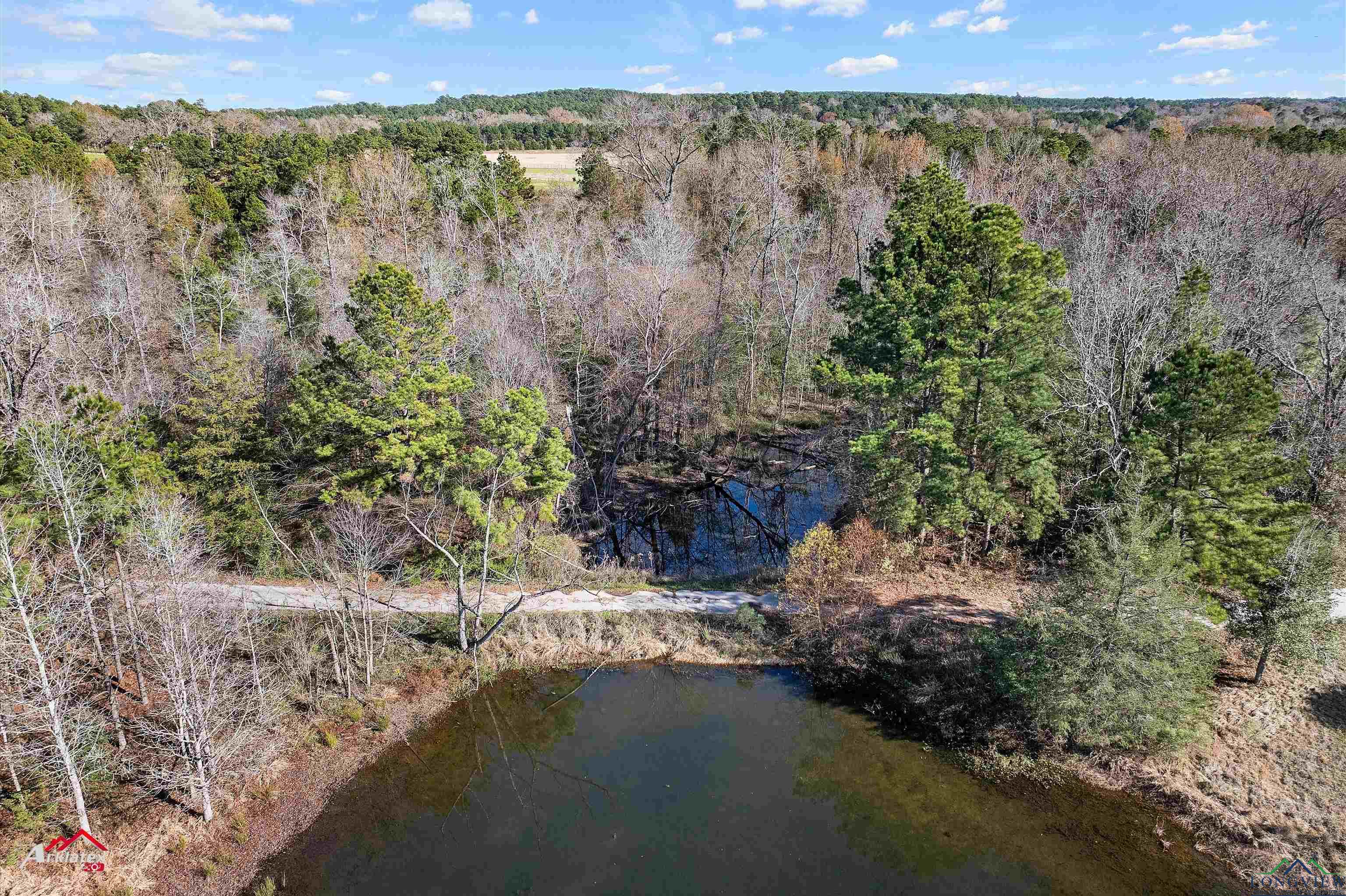 TBD E Cr 311, Henderson, Texas image 19