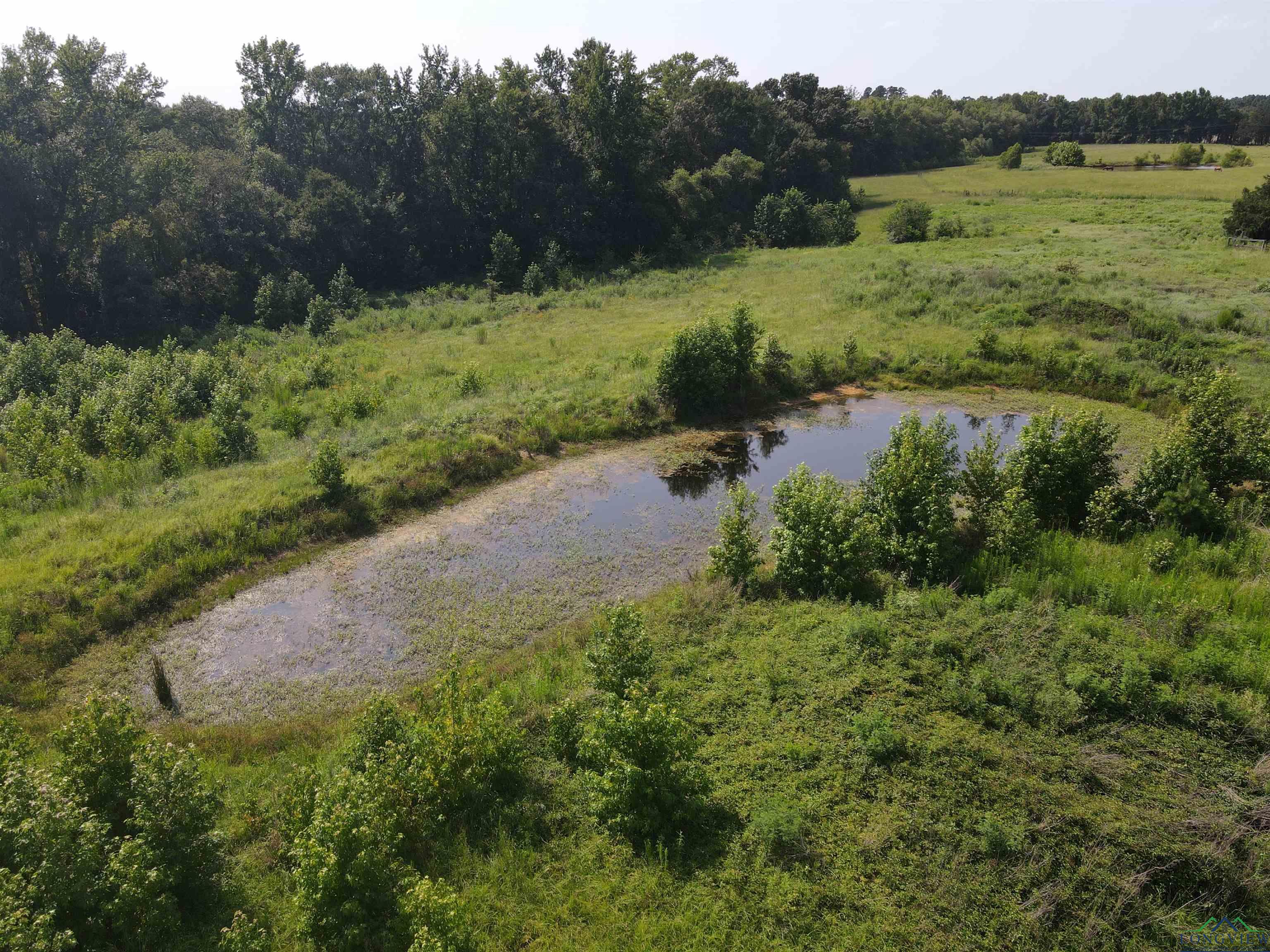 TBD W Cr 3330 And Cr 3370 Drive #1372, Winnsboro, Ohio image 3