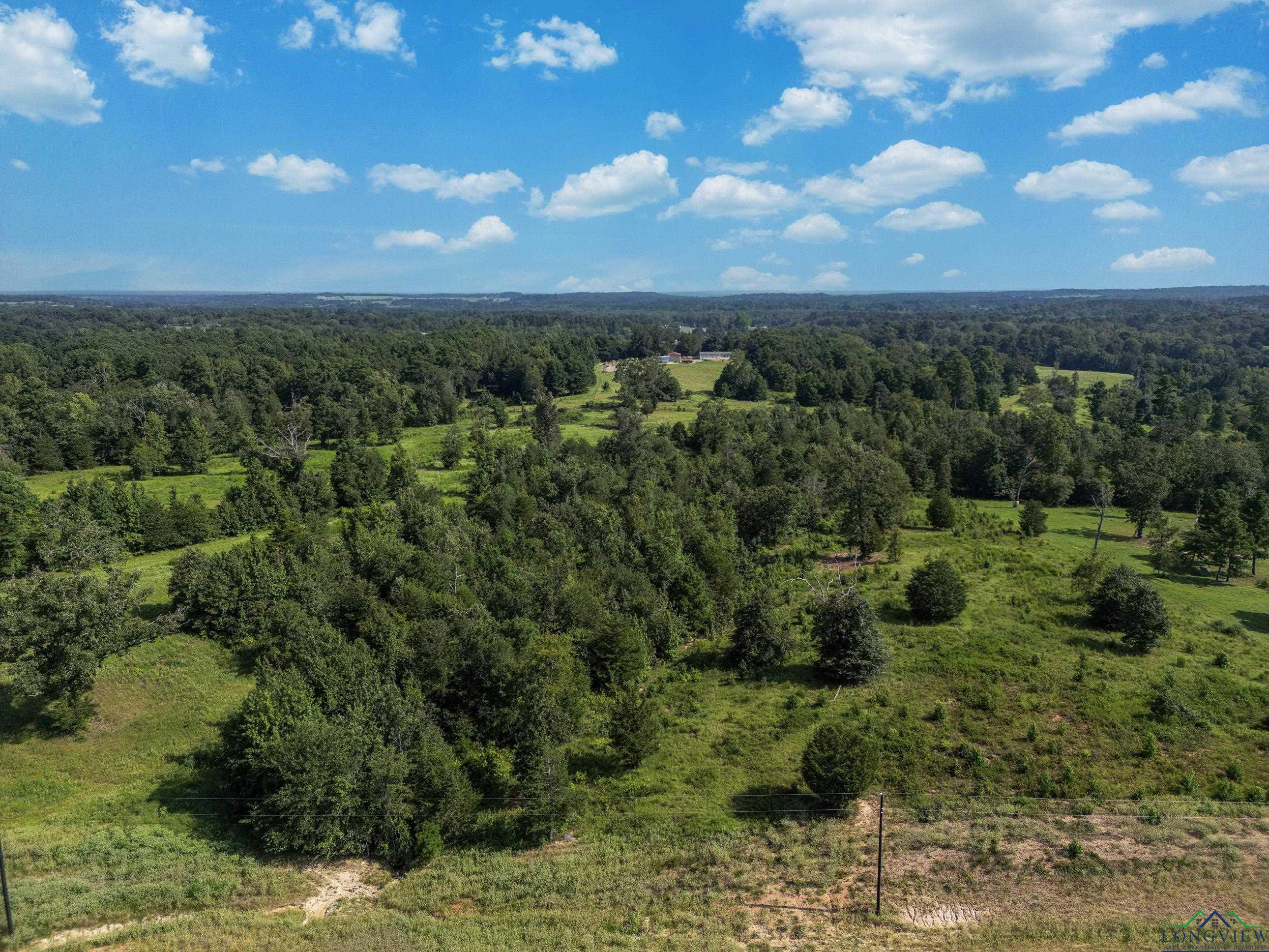 16659 Ridgeline Loop, Winona, Texas image 4