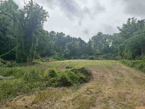 Vacant Land For Sale - 510 W Martin Luther King Jr Boulevard<br/> Tyler, TX 75702