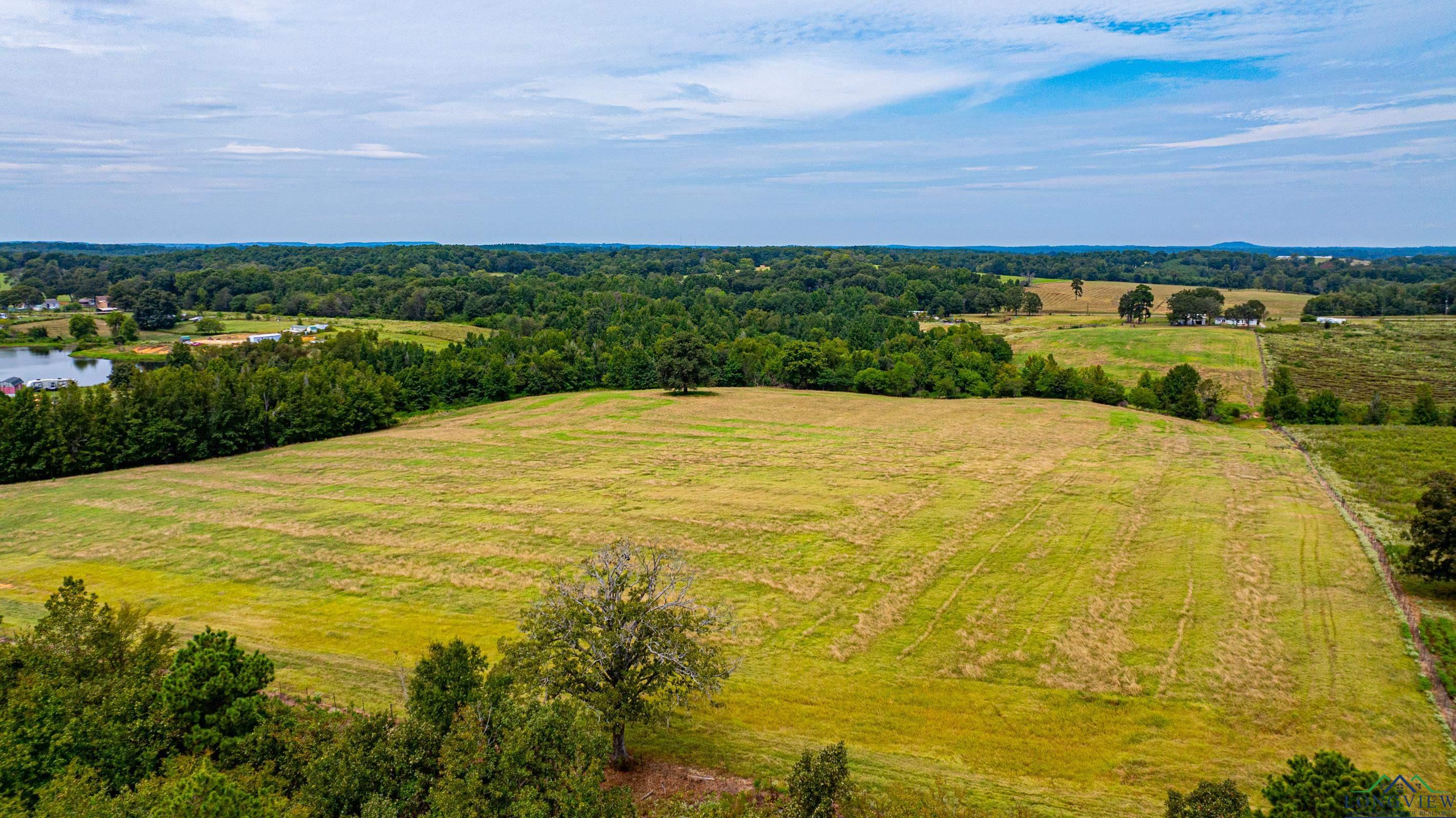 7136 Fm 1404, Gilmer, Texas image 6