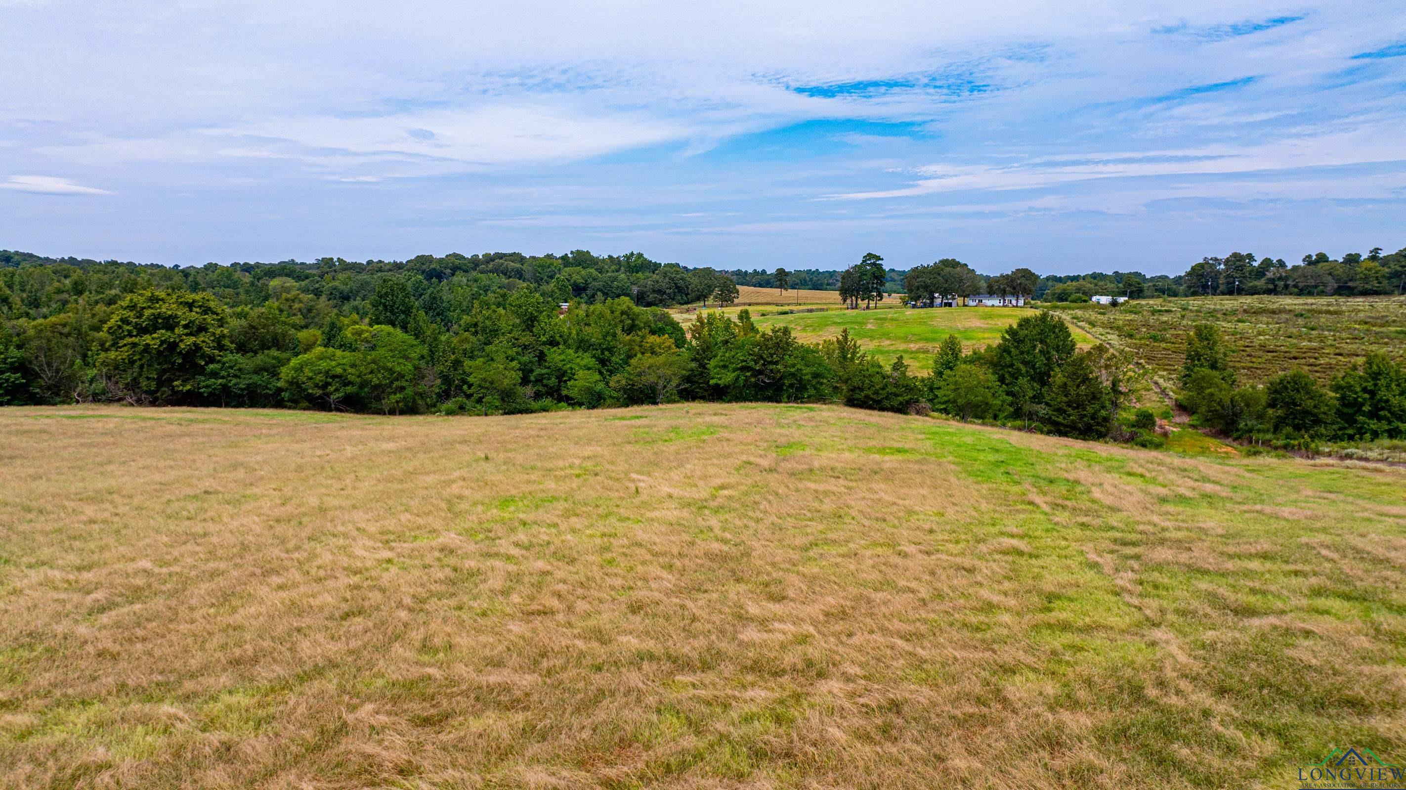 7136 Fm 1404, Gilmer, Texas image 9