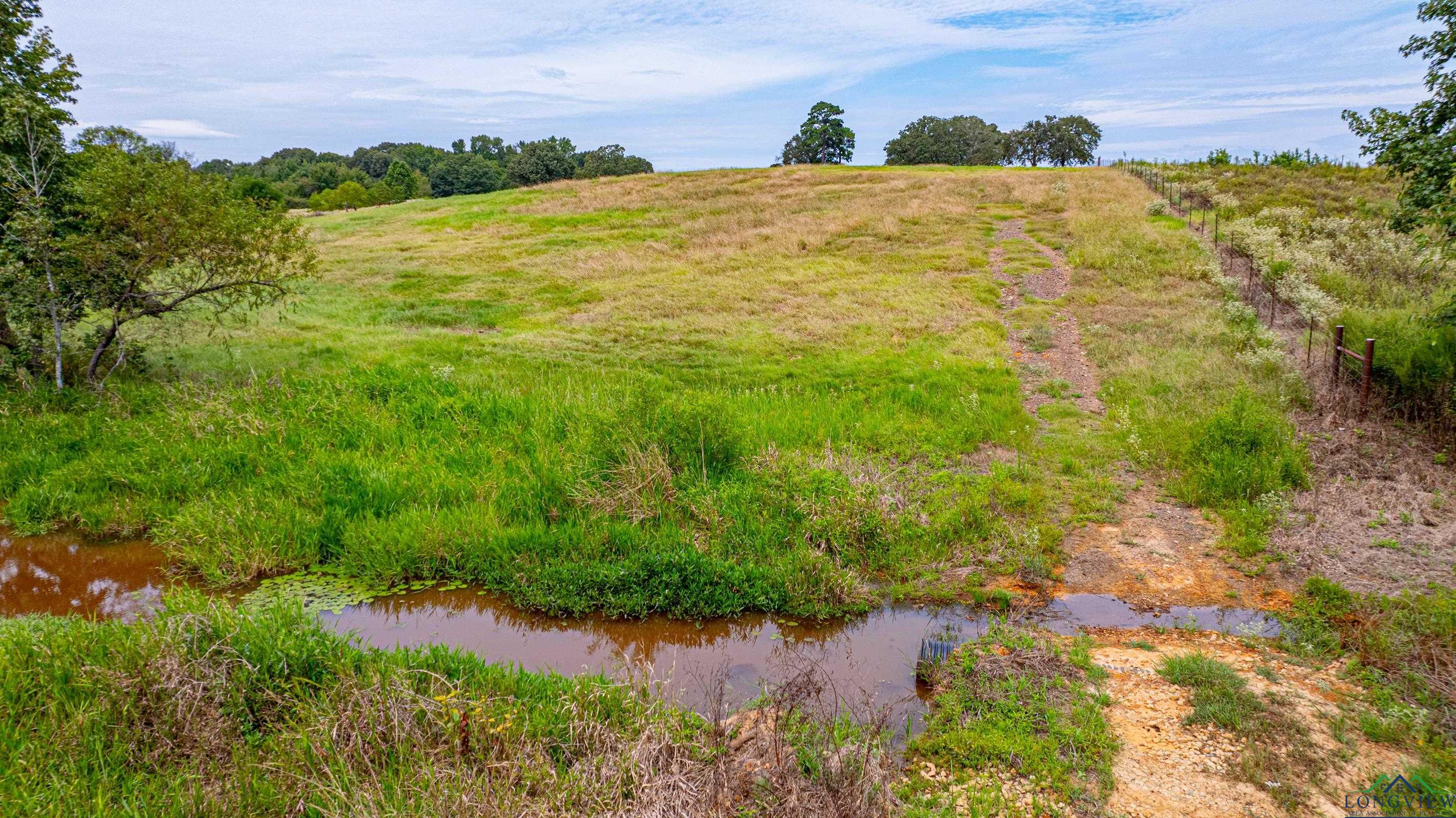 7136 Fm 1404, Gilmer, Texas image 13