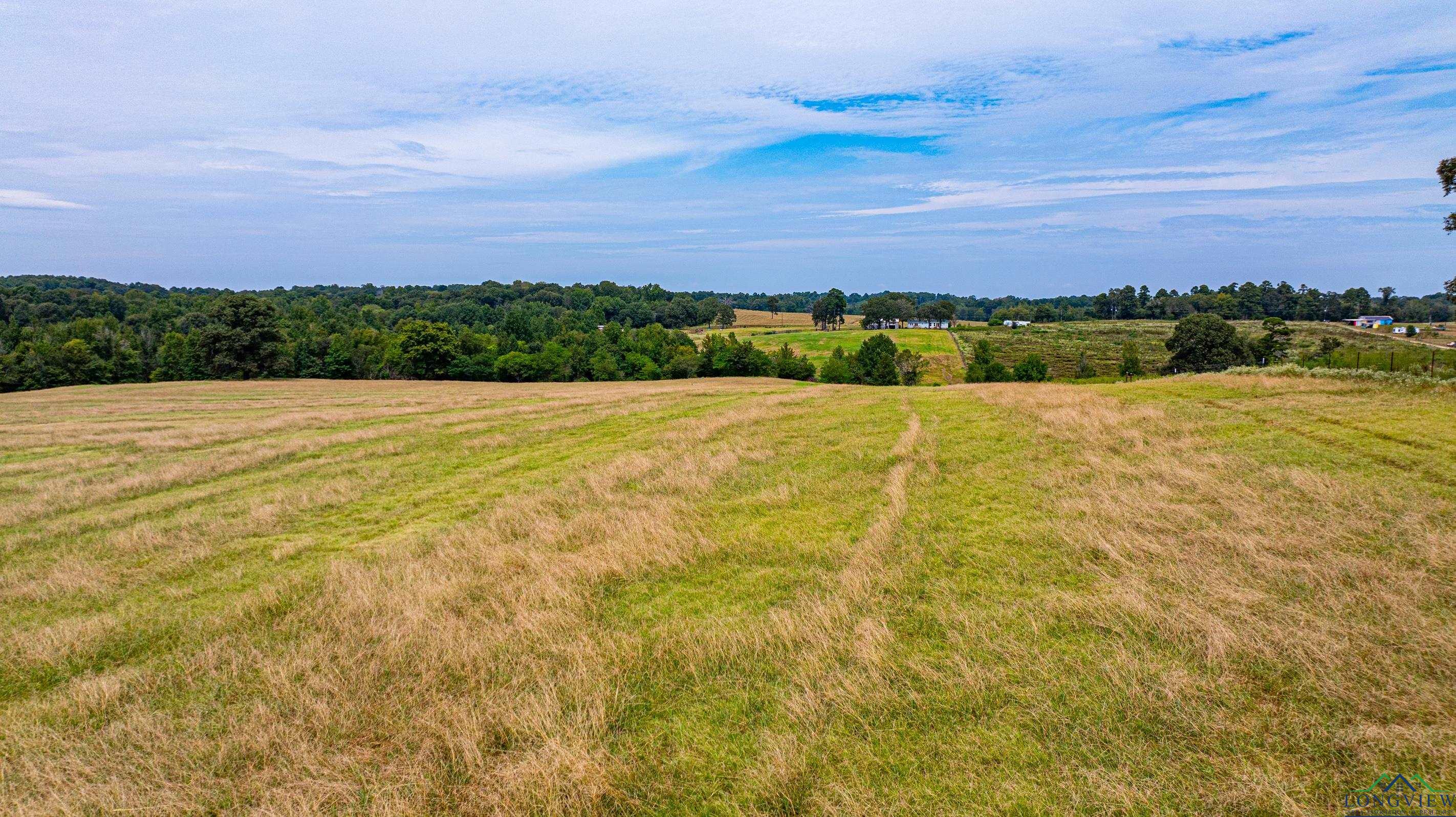 7136 Fm 1404, Gilmer, Texas image 8