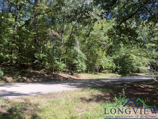 TBD--Lot 13 Willow Springs Road, Kilgore, Texas image 4