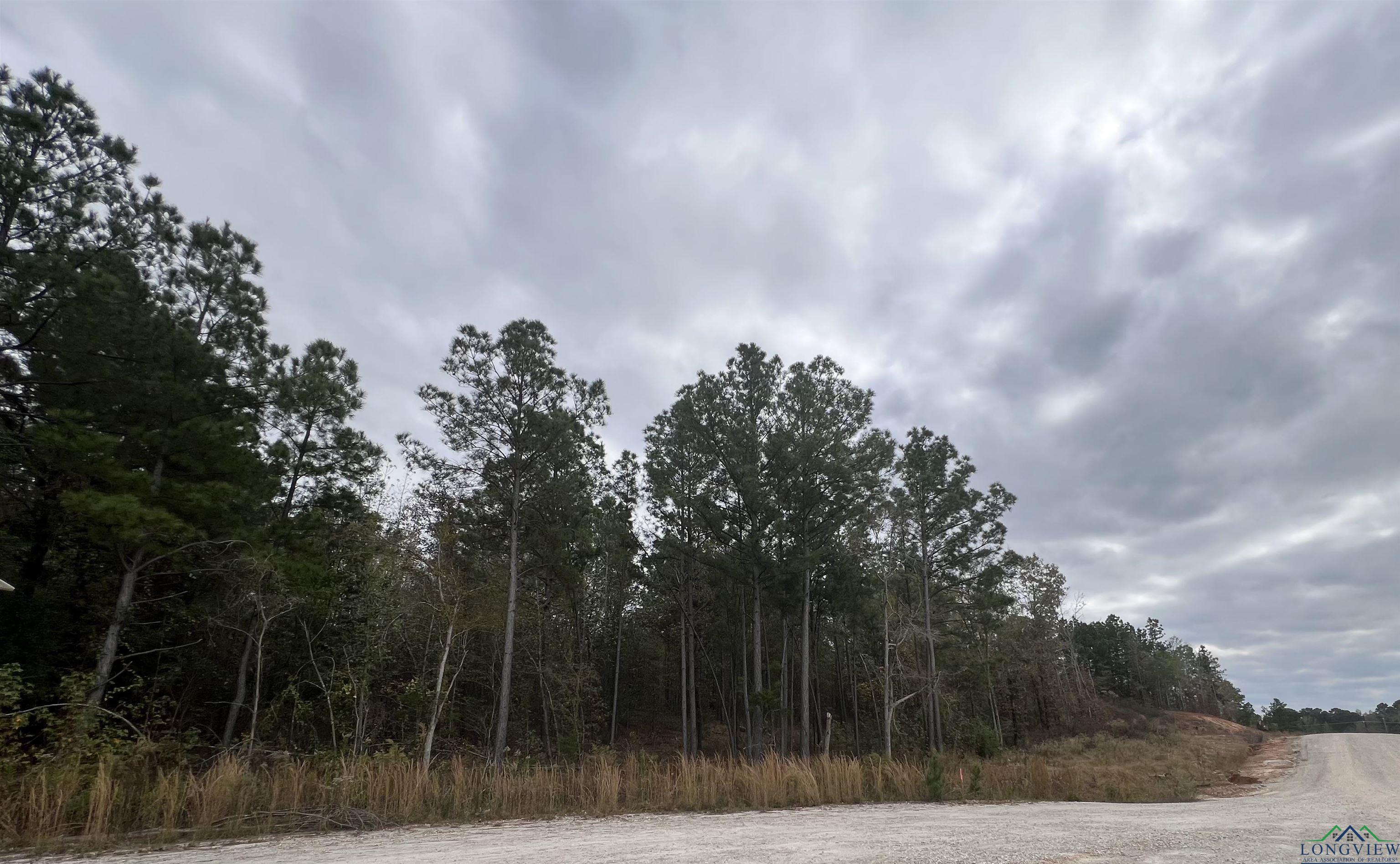 LOT #2 Tbd Bluebird Rd, Gilmer, Texas image 11