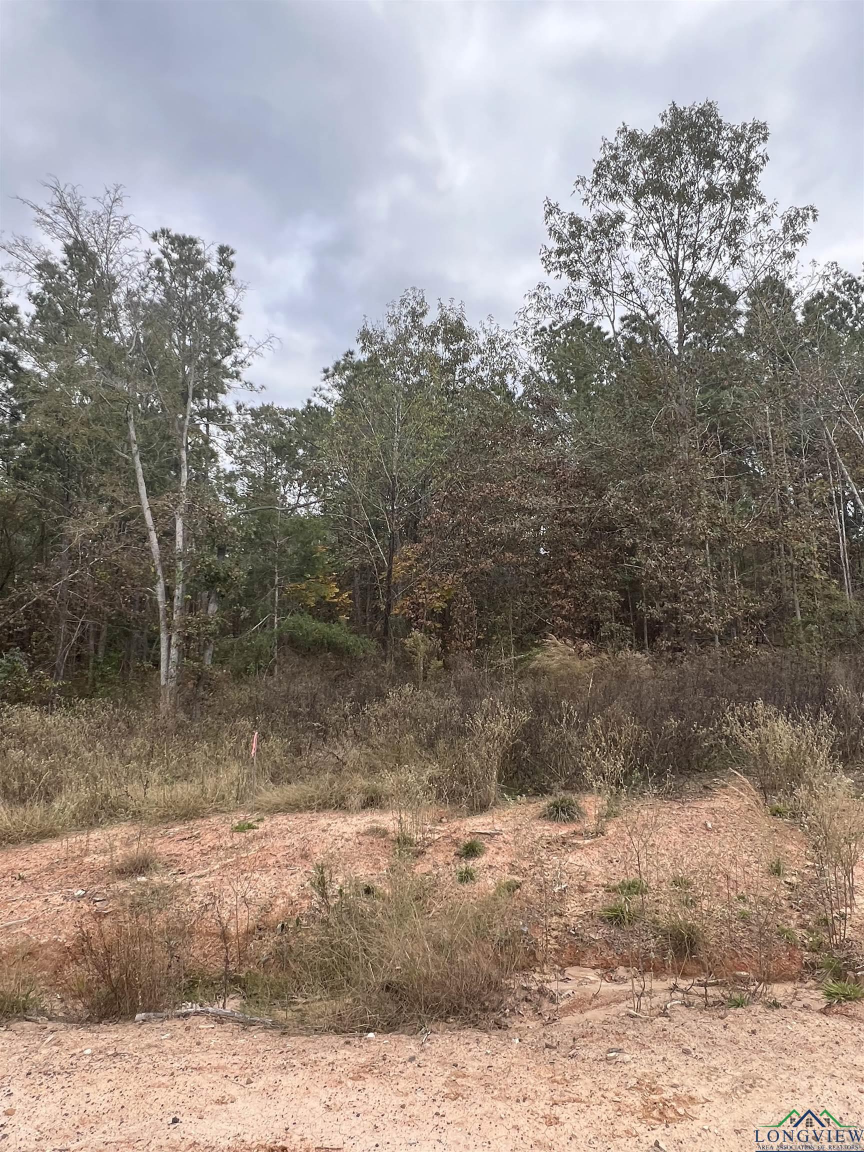 LOT #2 Tbd Bluebird Rd, Gilmer, Texas image 15