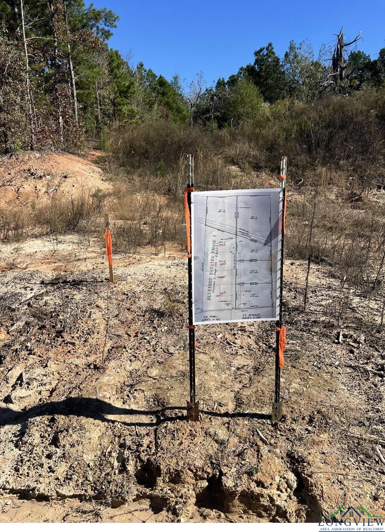 LOT #2 Tbd Bluebird Rd, Gilmer, Texas image 2