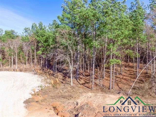 LOT #2 Tbd Bluebird Rd, Gilmer, Texas image 4