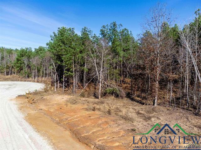 LOT #2 Tbd Bluebird Rd, Gilmer, Texas image 5