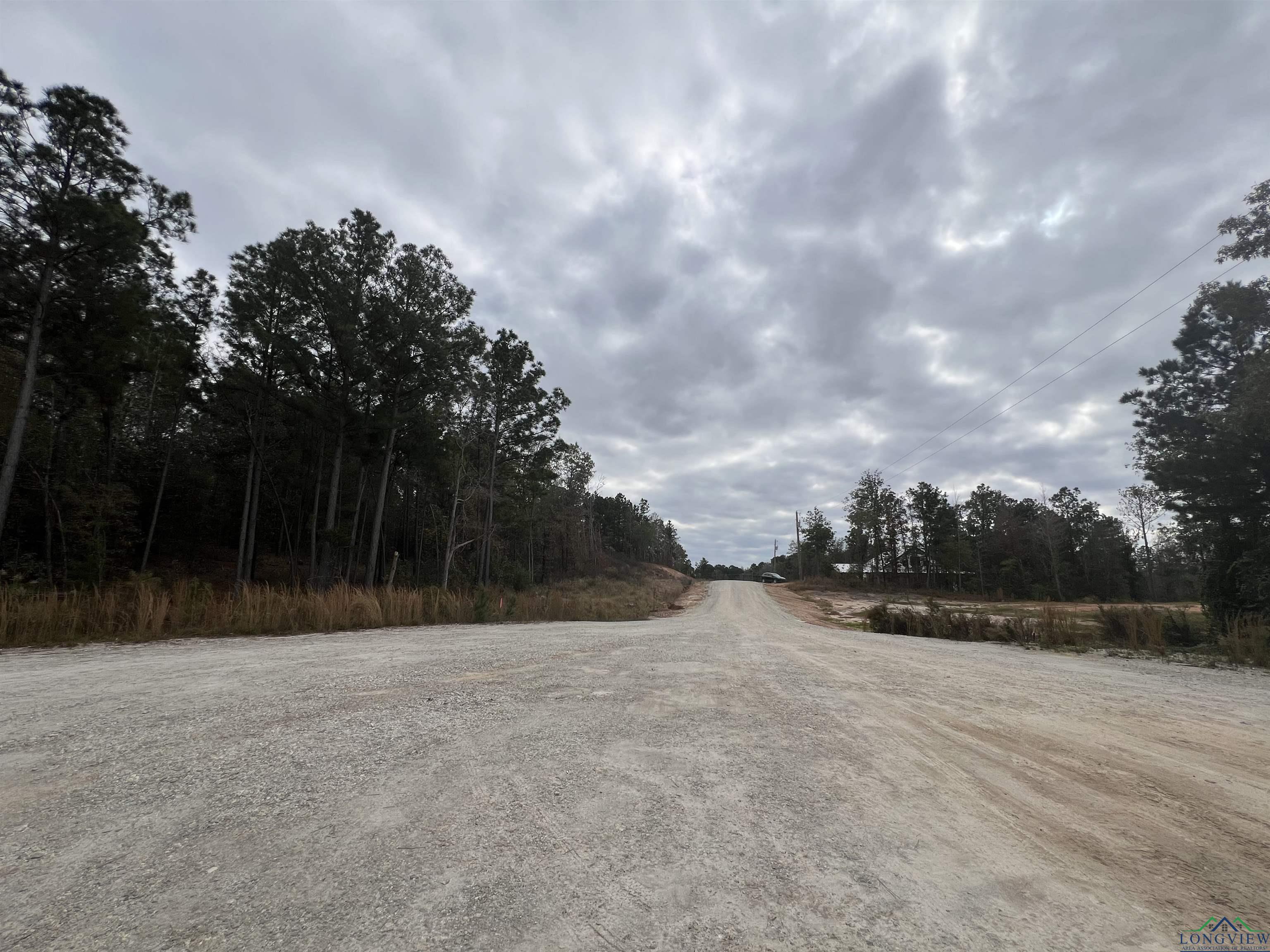 LOT #2 Tbd Bluebird Rd, Gilmer, Texas image 7