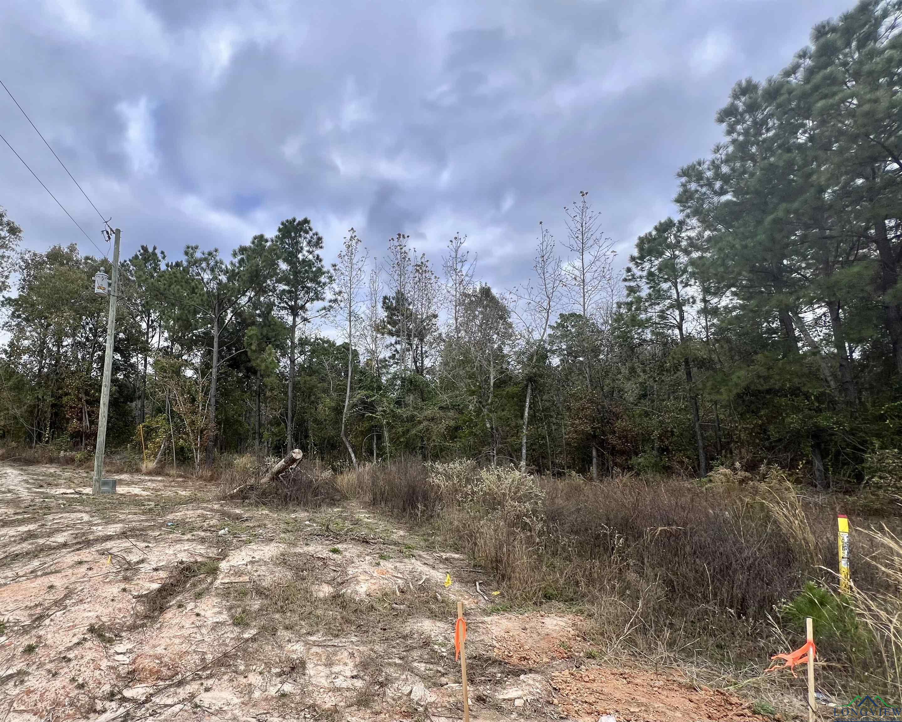 LOT #2 Tbd Bluebird Rd, Gilmer, Texas image 19