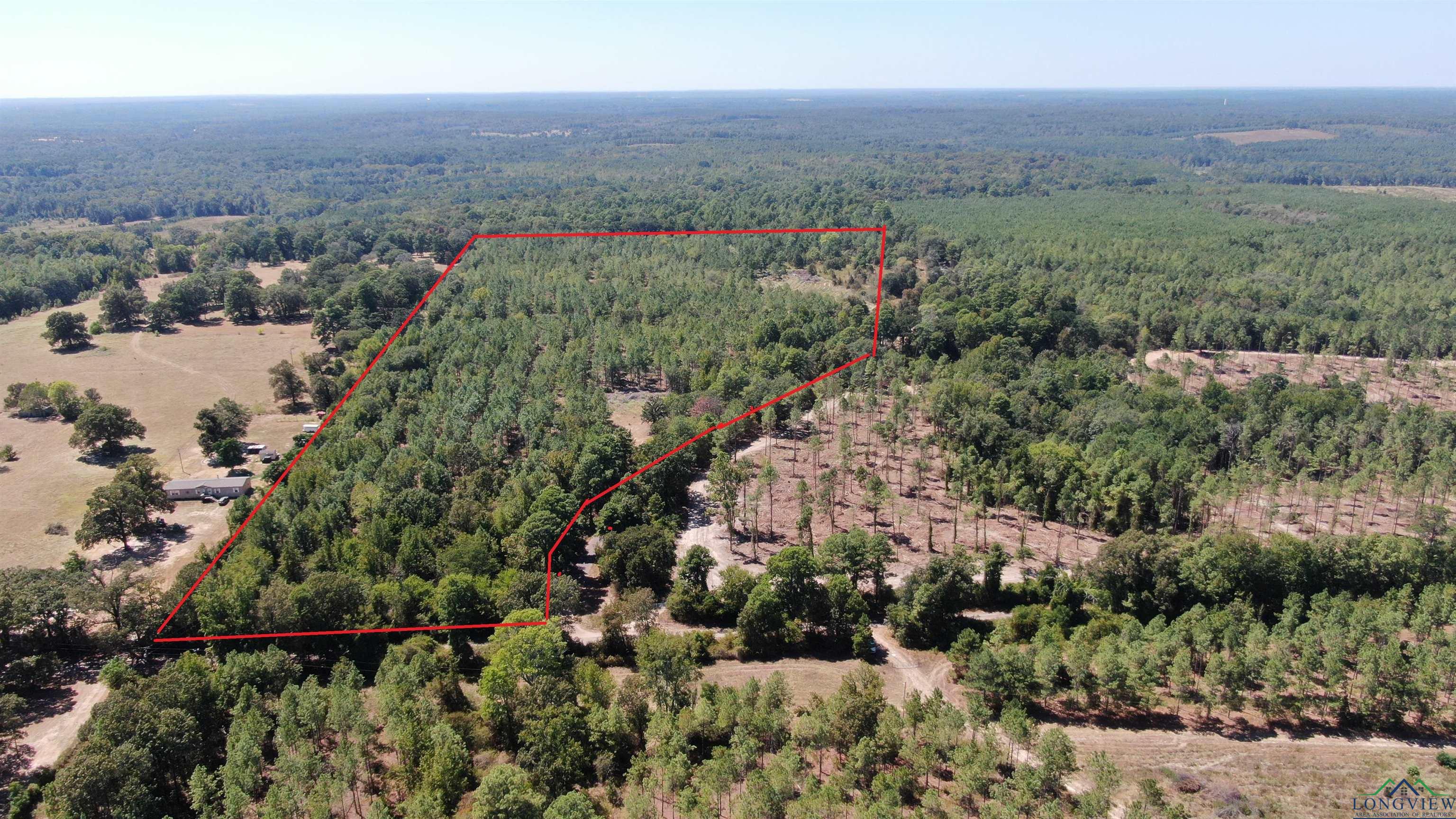 TBD Trinity Rd 33.83 +/- Acres, Jefferson, Texas image 1