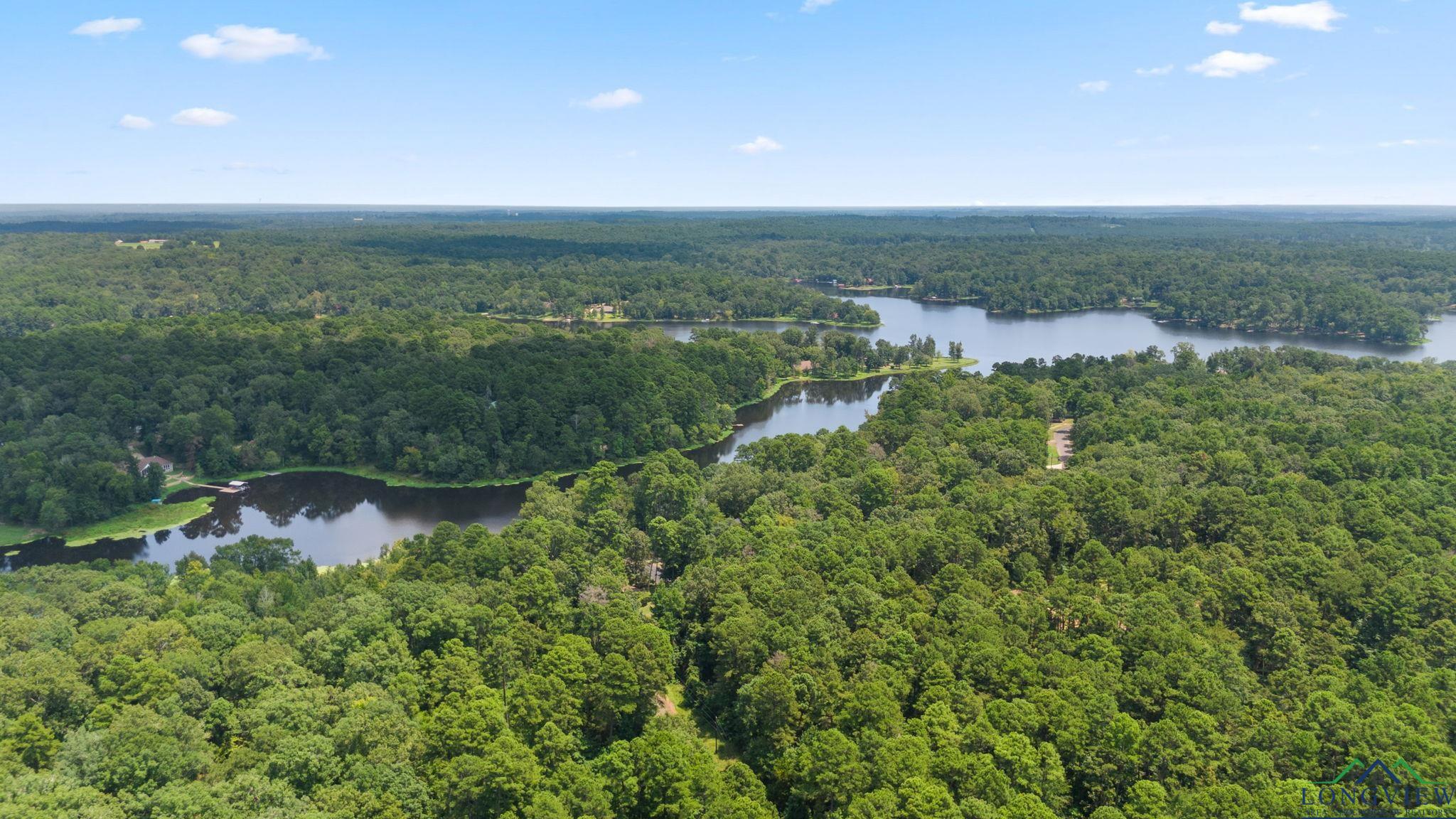 TBD Cr 1596 (61.6 Acres), Avinger, Texas image 8