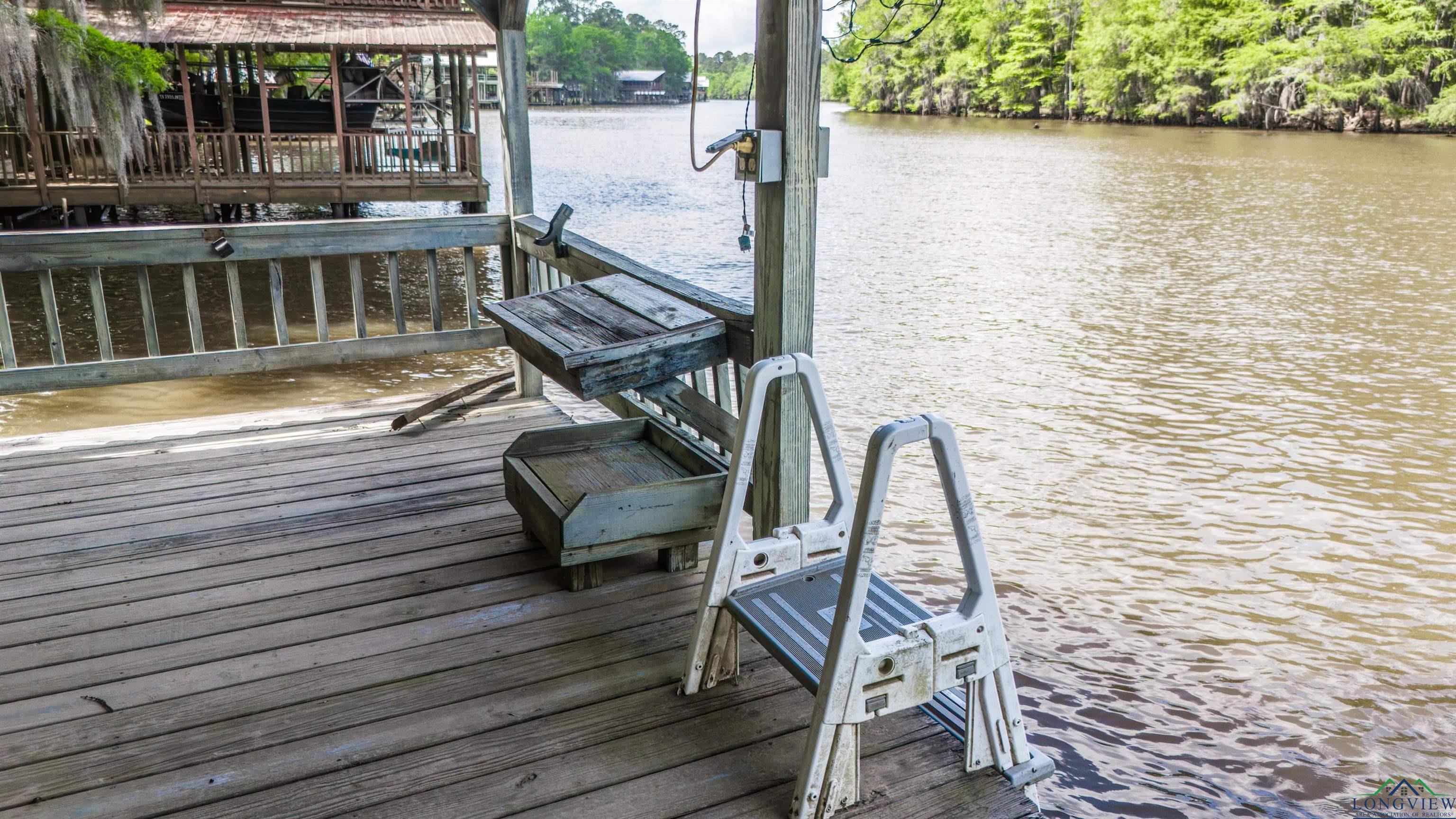 1741 Pine Island, Karnack, Texas image 30