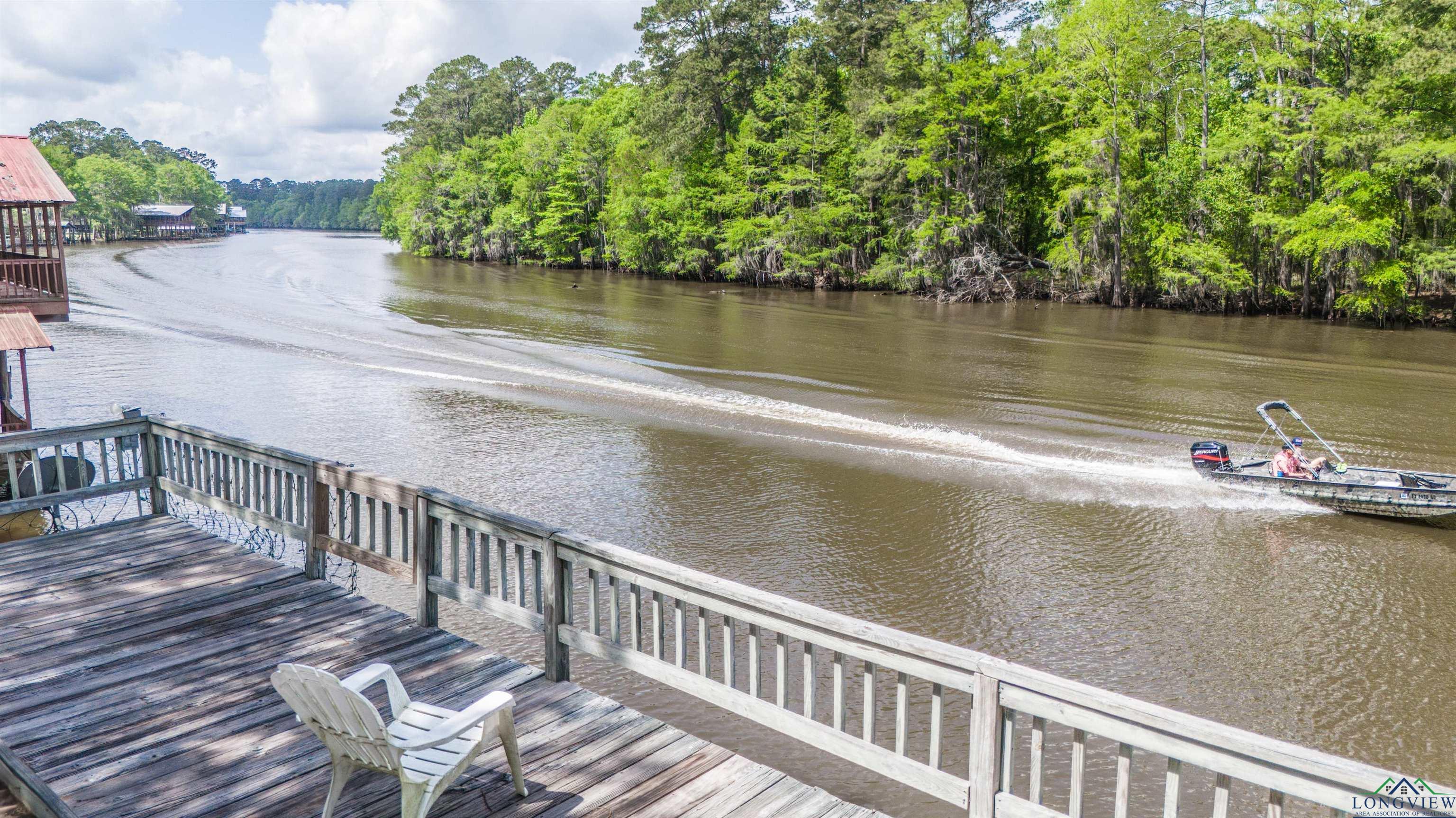 1741 Pine Island, Karnack, Texas image 3