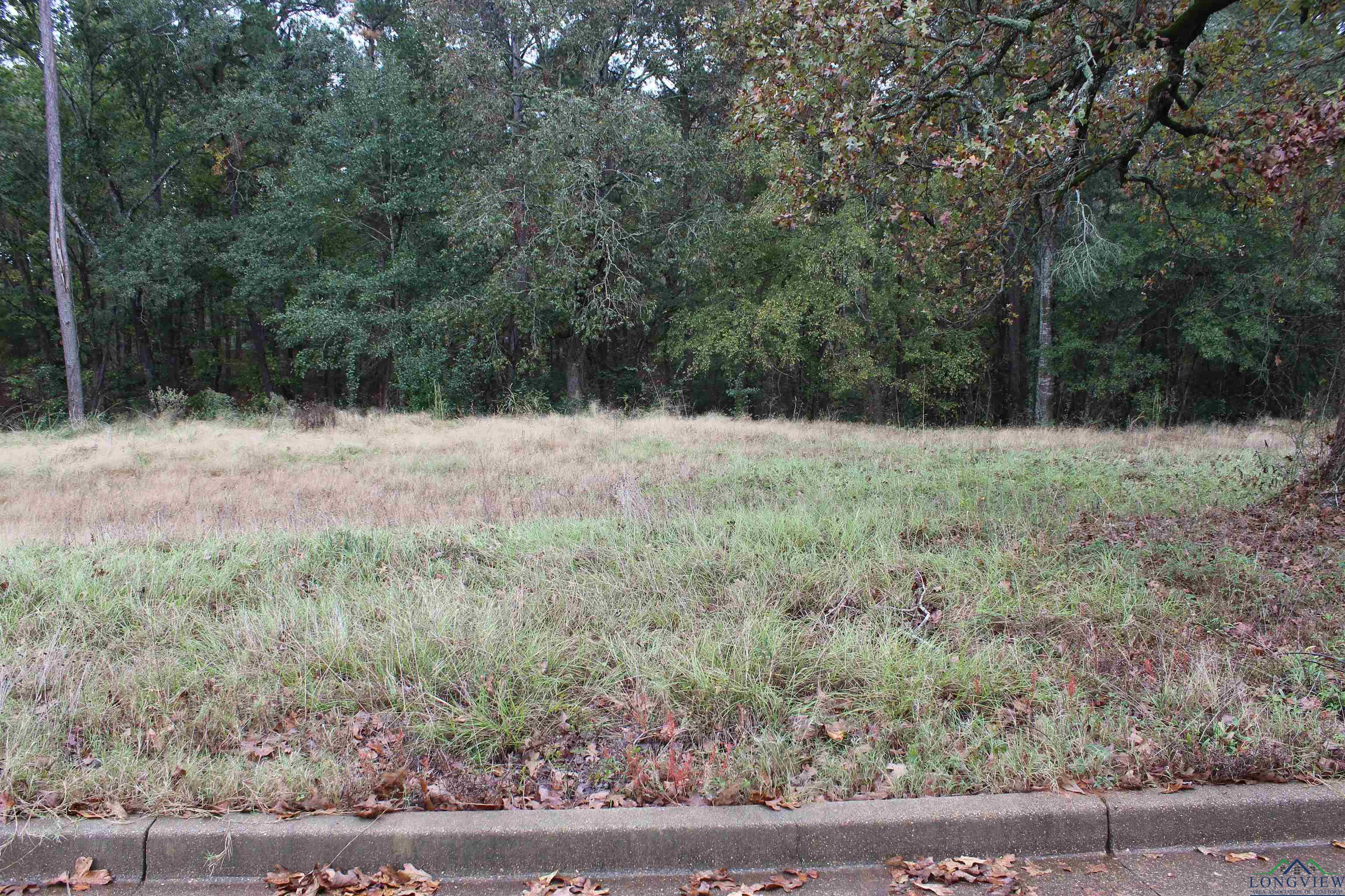 Lot 9 Woodview Ln, Kilgore, Texas image 1