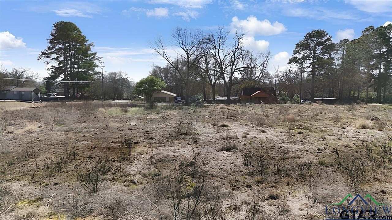 Lot 10 Ellis St, Rusk, Texas image 4