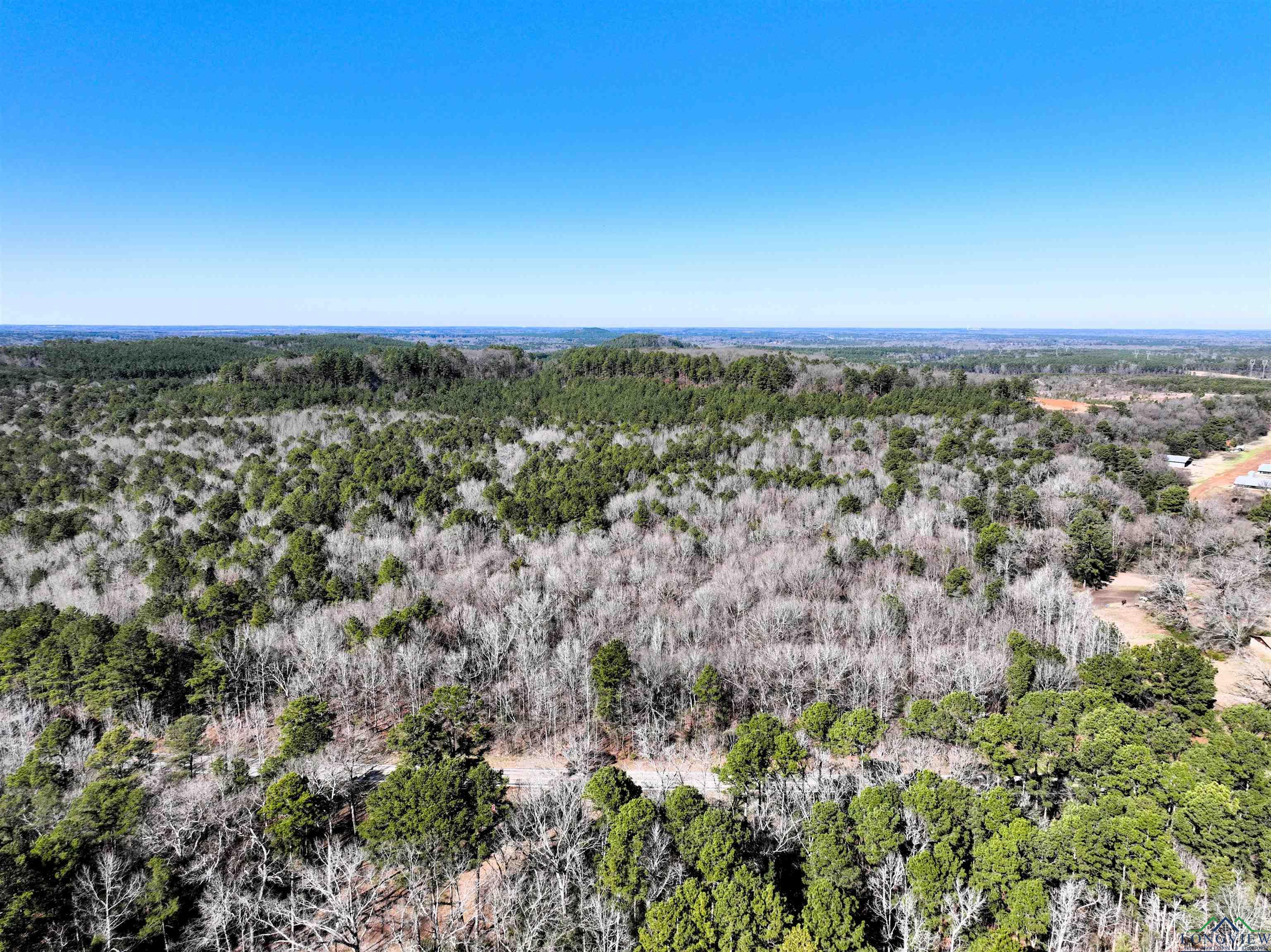 TBD Fm 2796 Tract 2 Road, Pittsburg, New Mexico image 5