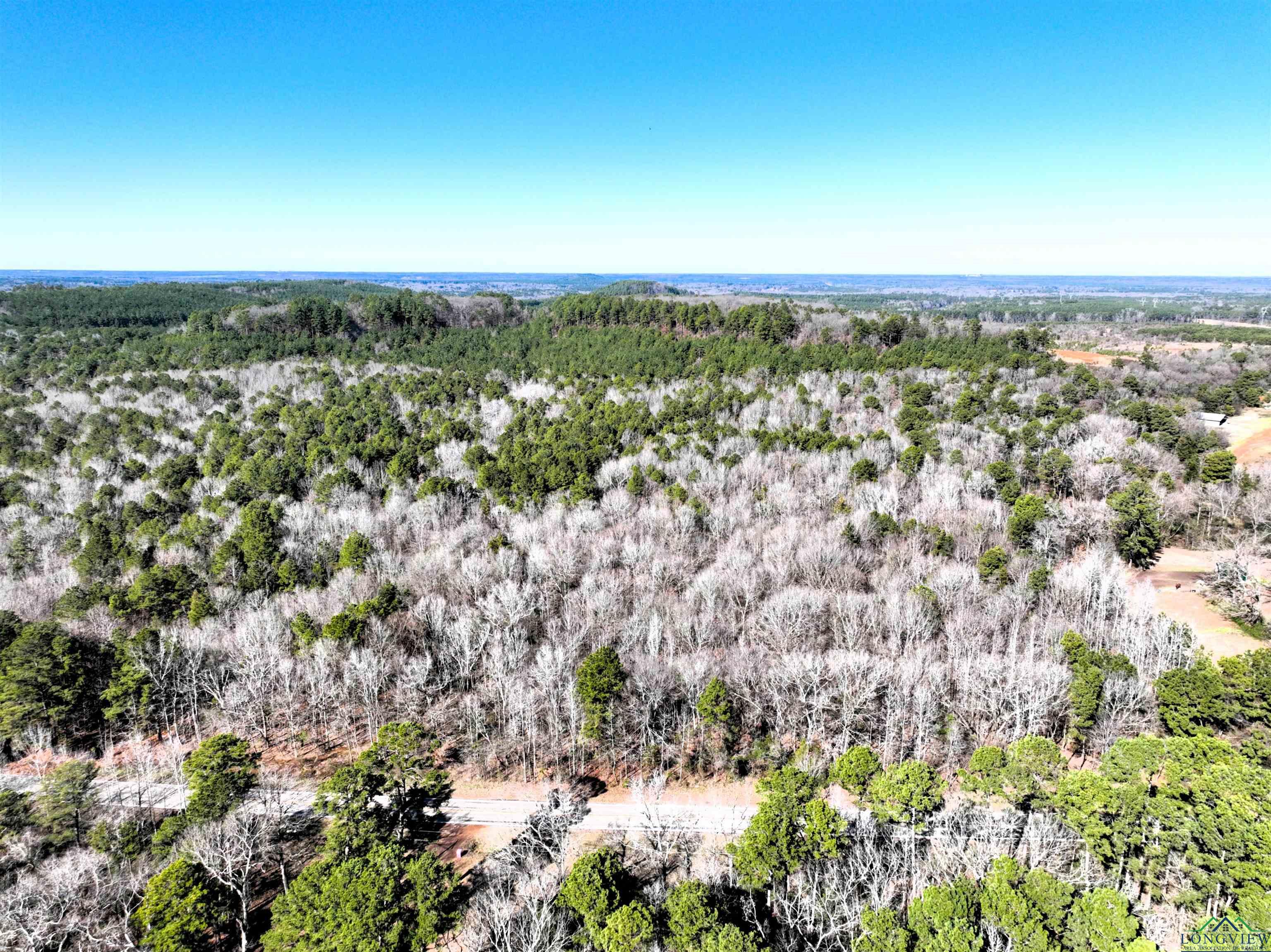 TBD Fm 2796 Tract 2 Road, Pittsburg, New Mexico image 6