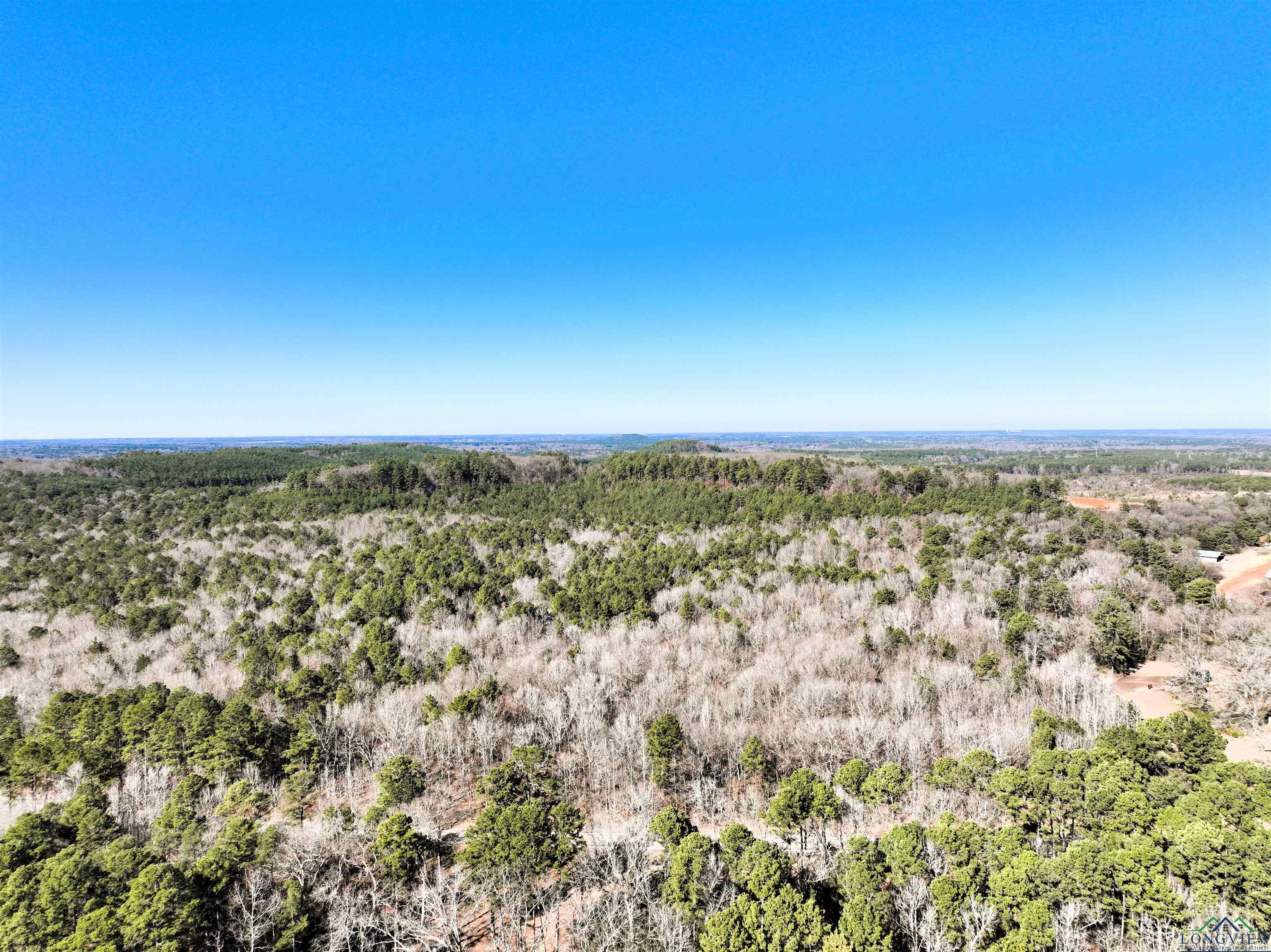 TBD Fm 2796 Tract 2 Road, Pittsburg, New Mexico image 9