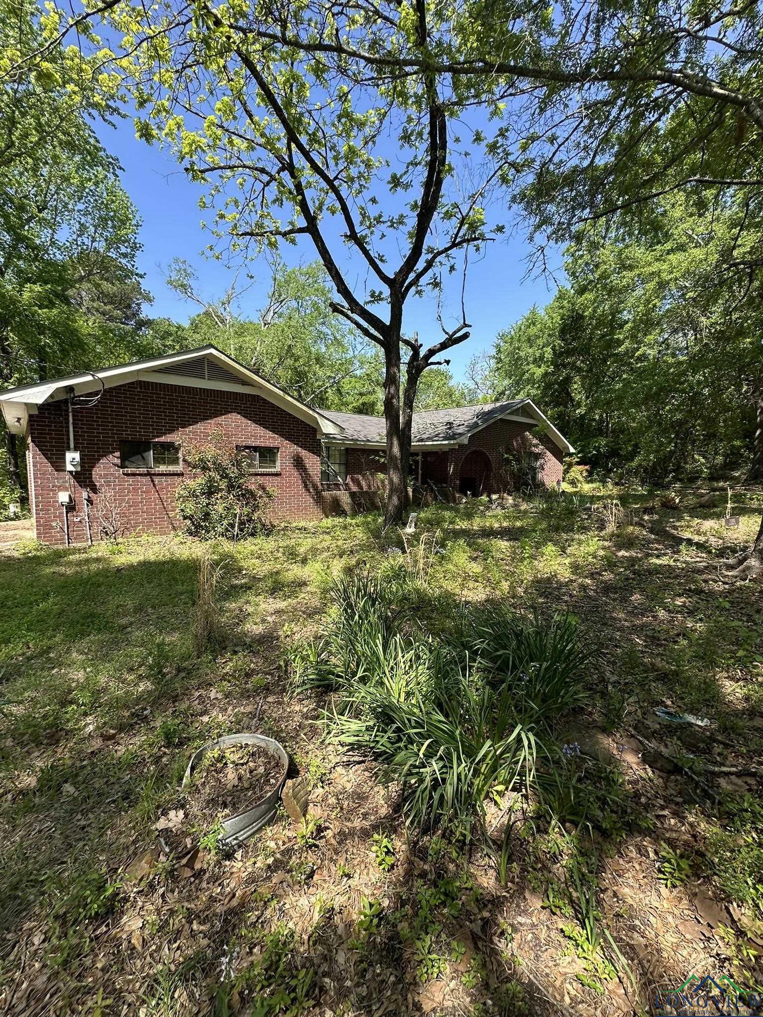 10365 Sycamore St, Overton, Texas image 1