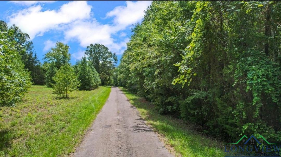 TBD Cr 4114, Hughes Springs, Texas image 3