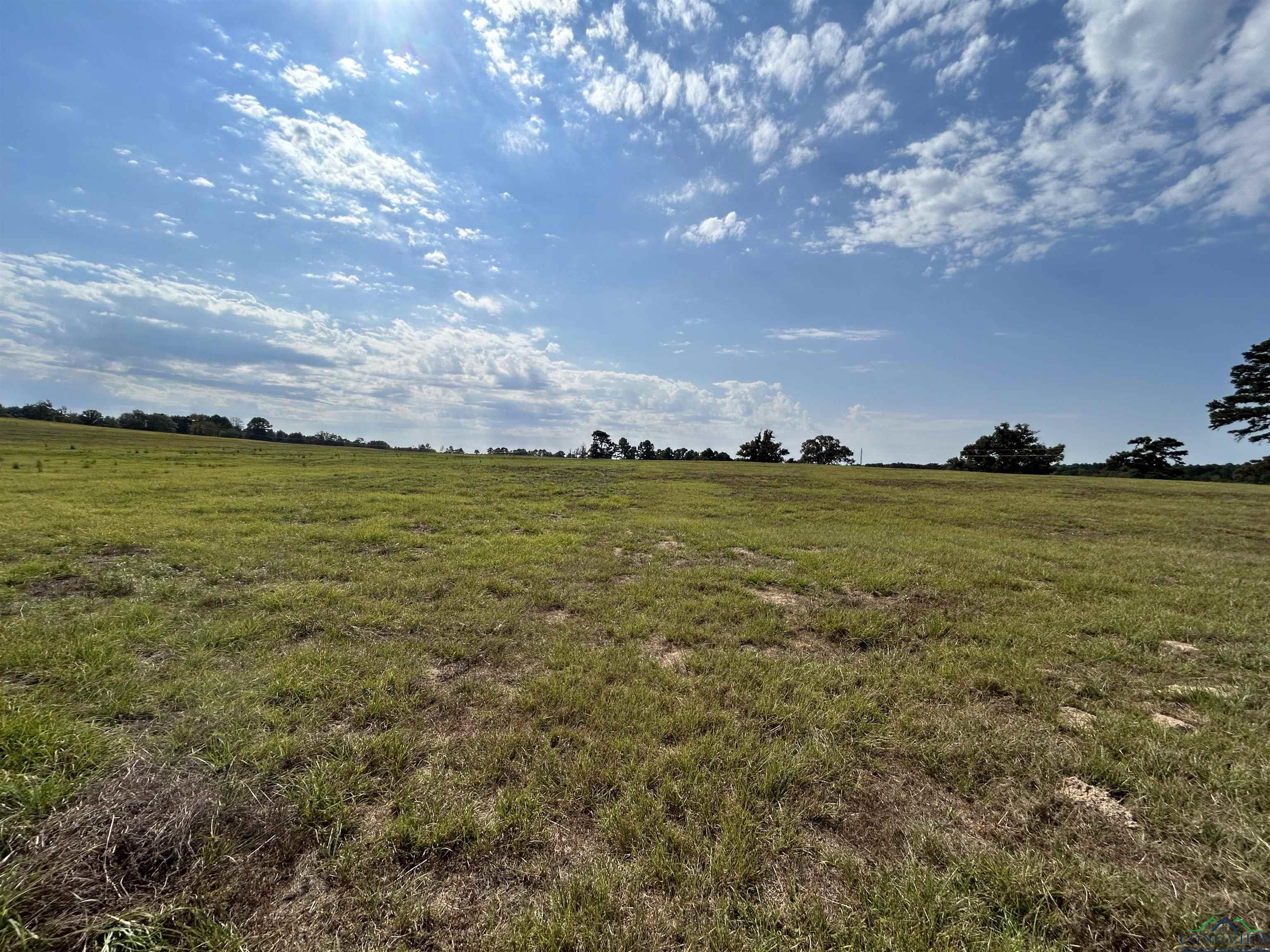 LOT 79 White Oak Creek Ranch, Big Sandy, Texas image 3