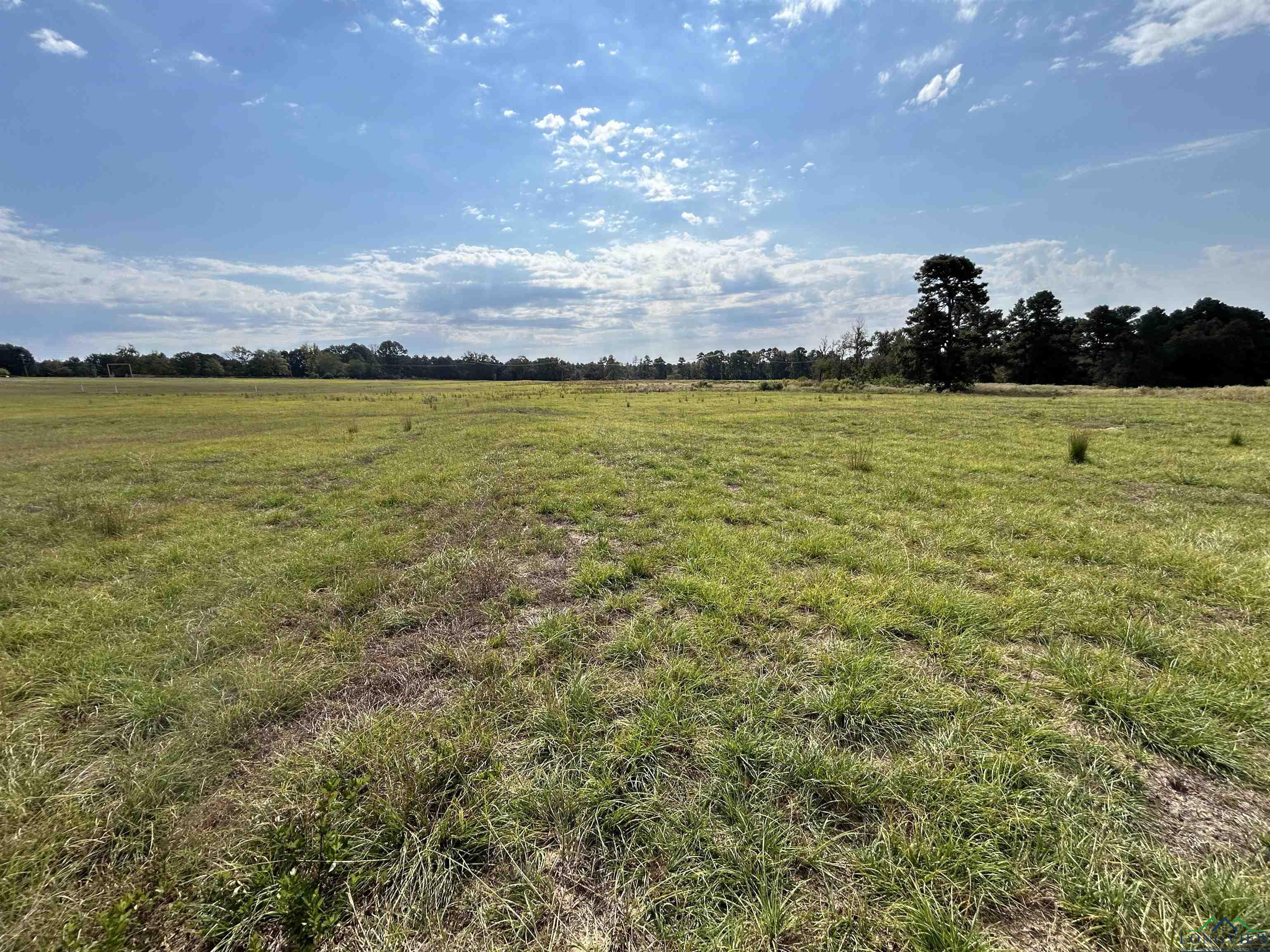 LOT 79 White Oak Creek Ranch, Big Sandy, Texas image 2