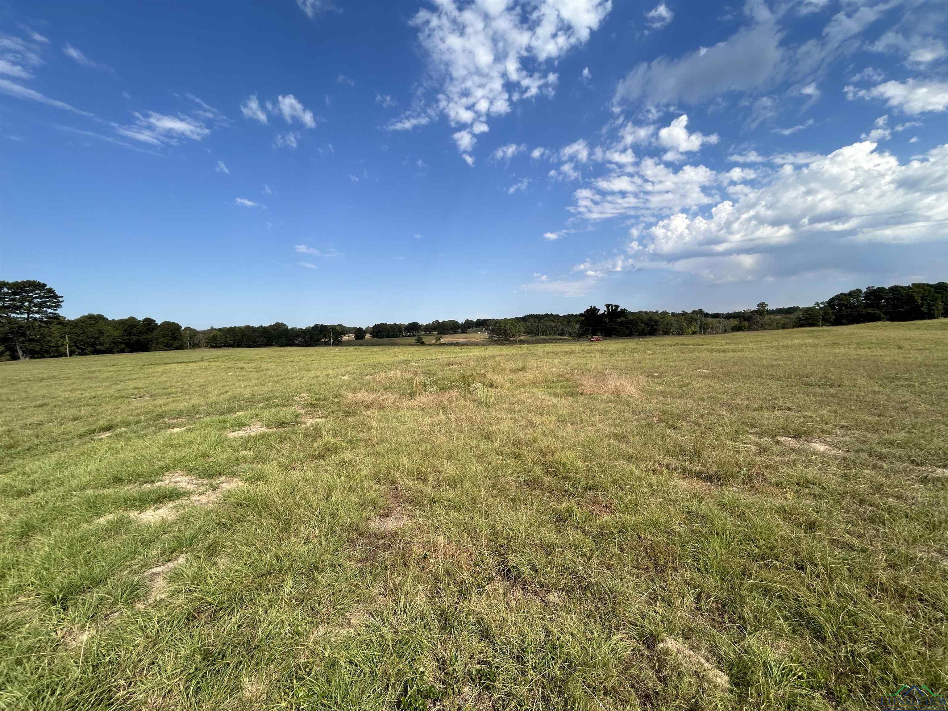 LOT 79 White Oak Creek Ranch, Big Sandy, Texas image 1