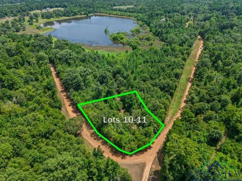 Vacant Land For Sale - TBD Indian Mound Lake Lots 10 & 11<br/> Wood County, Hawkins, TX 75765