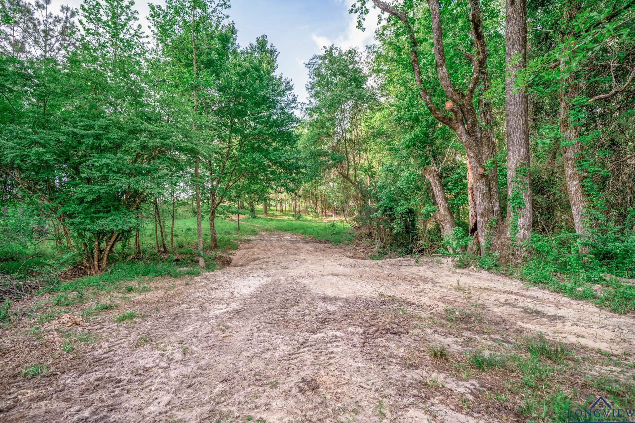 148.5 Ac Fm 995, Atlanta, Texas image 9