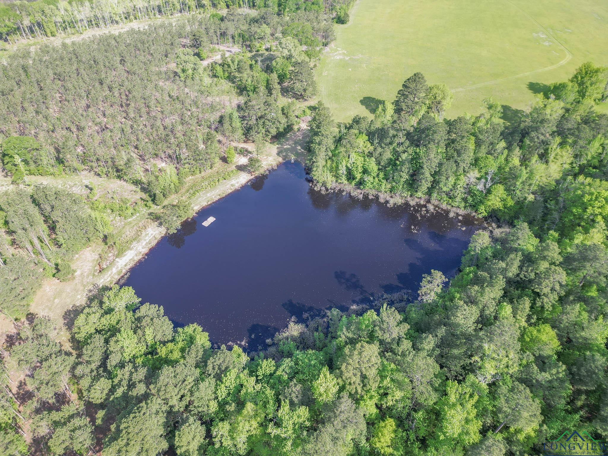 148.5 Ac Fm 995, Atlanta, Texas image 20