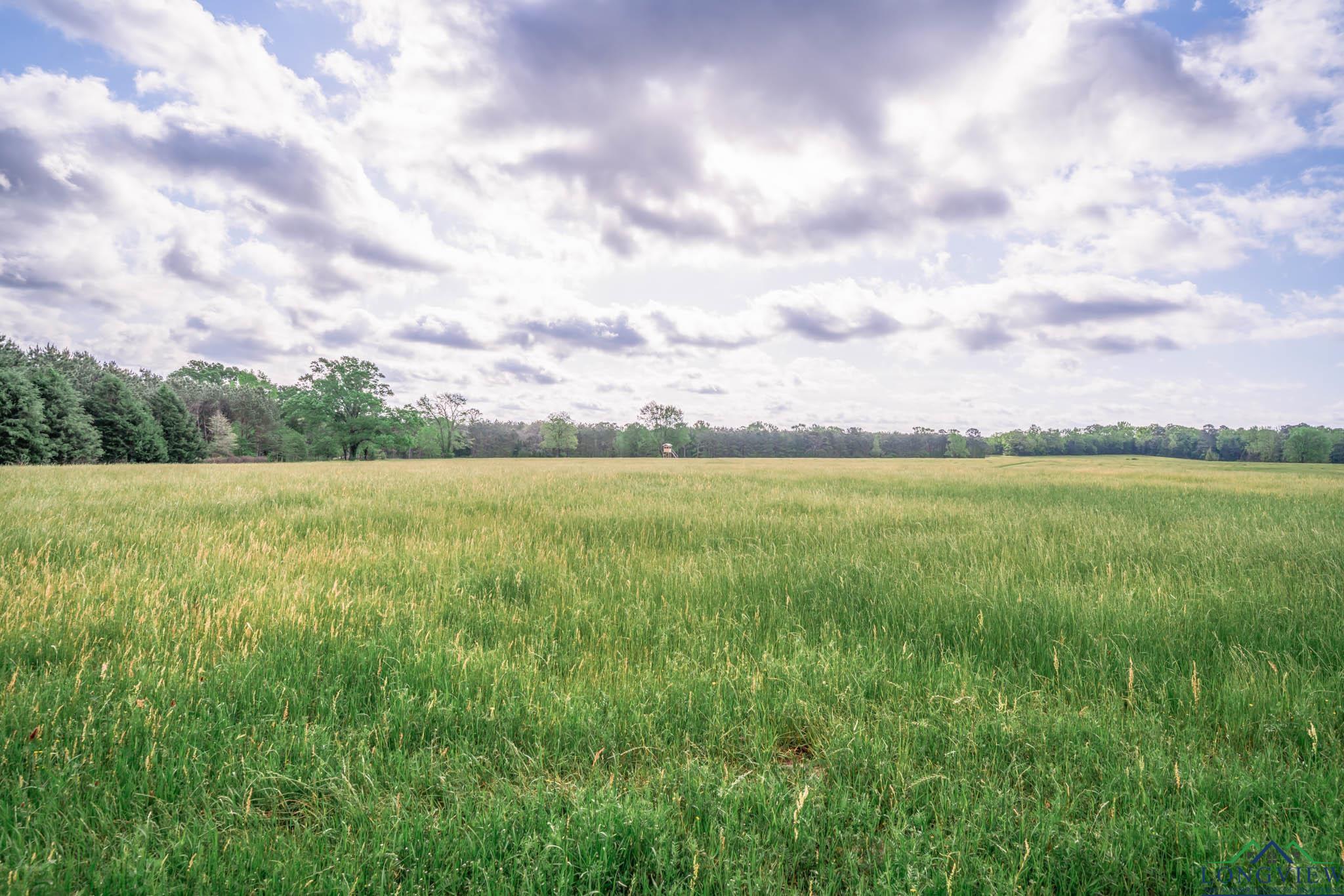 148.5 Ac Fm 995, Atlanta, Texas image 2