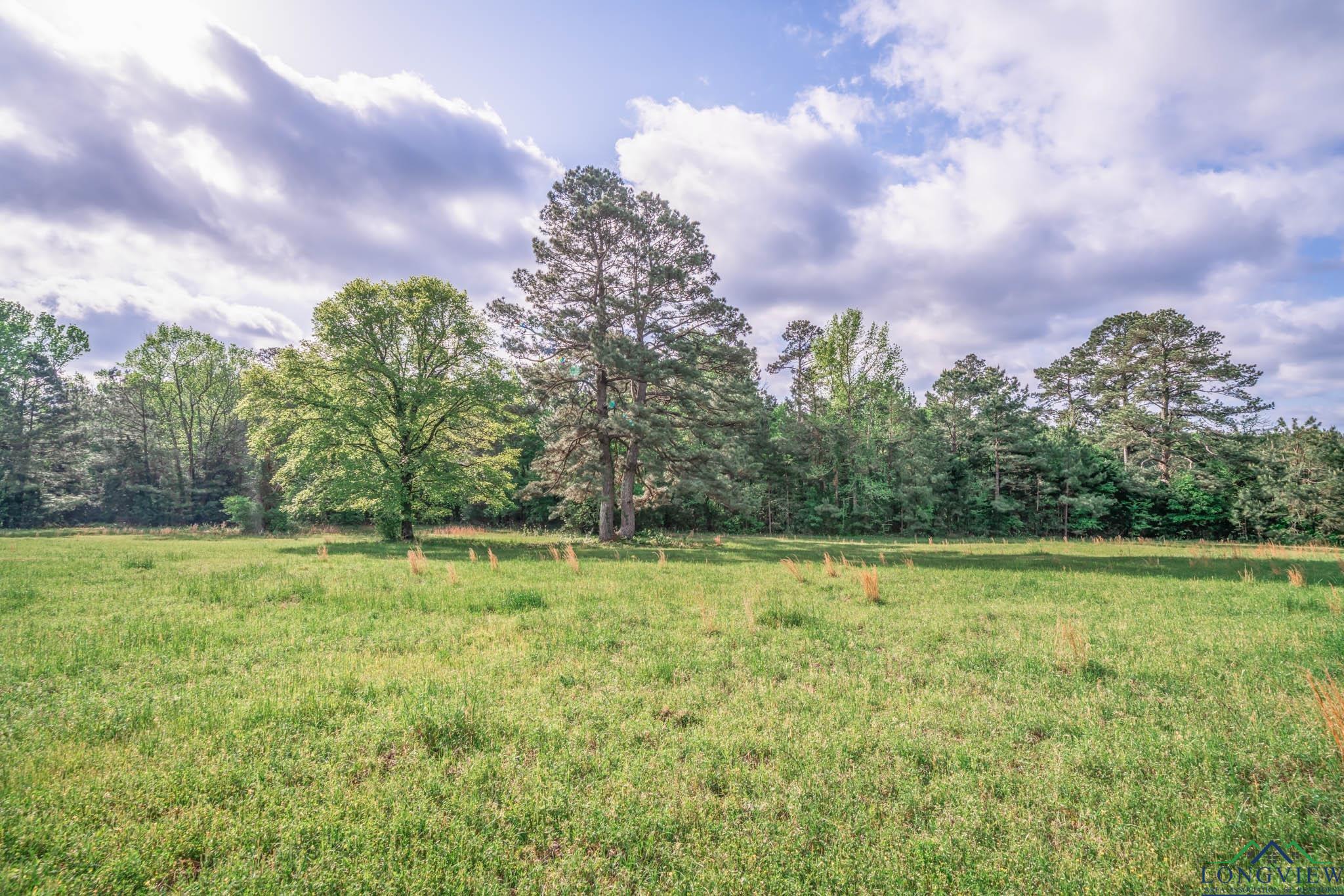148.5 Ac Fm 995, Atlanta, Texas image 8