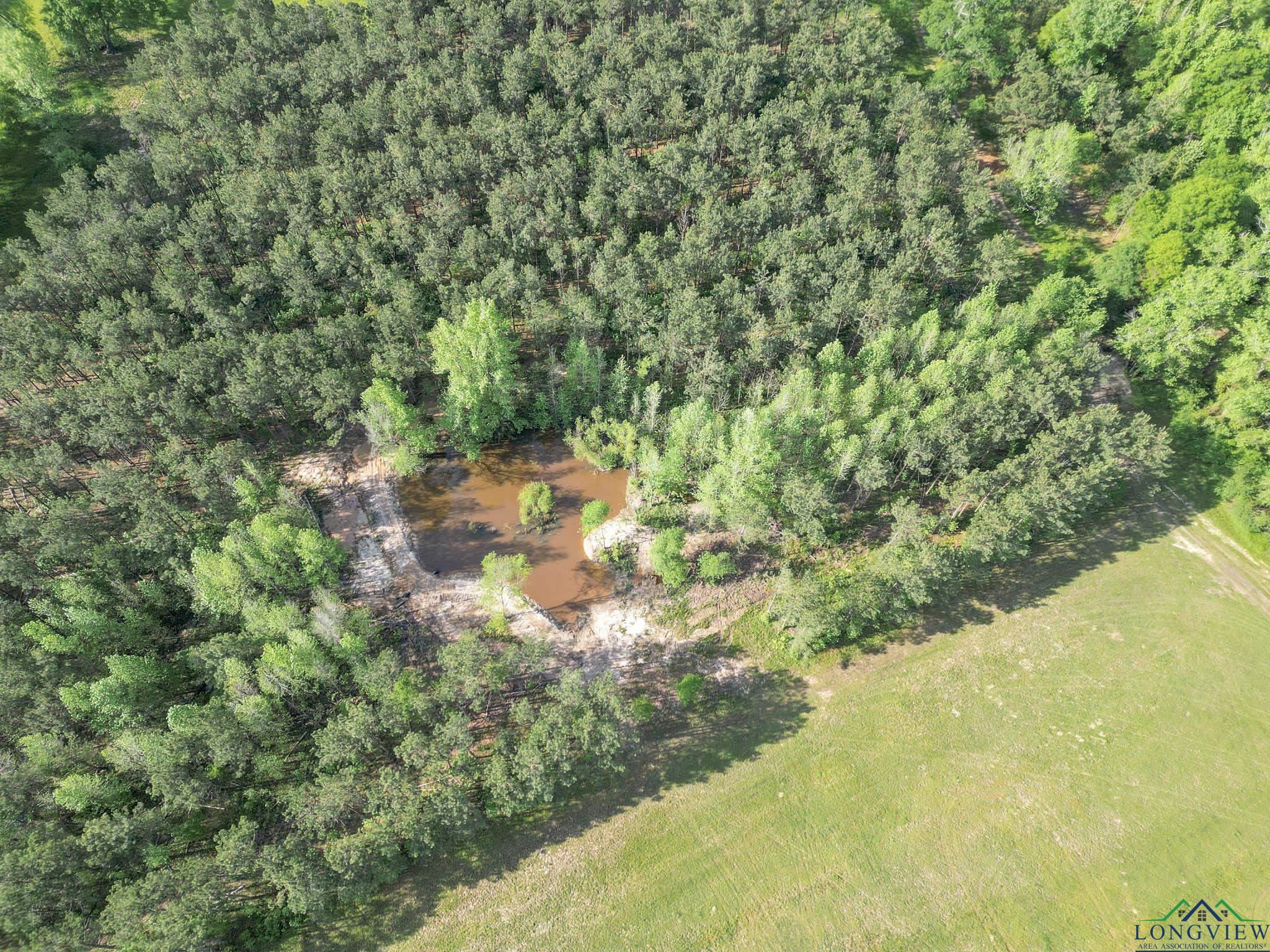 148.5 Ac Fm 995, Atlanta, Texas image 13