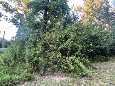 Vacant Land For Sale - TBD Willowood Trail<br/> Gilmer, TX 75645