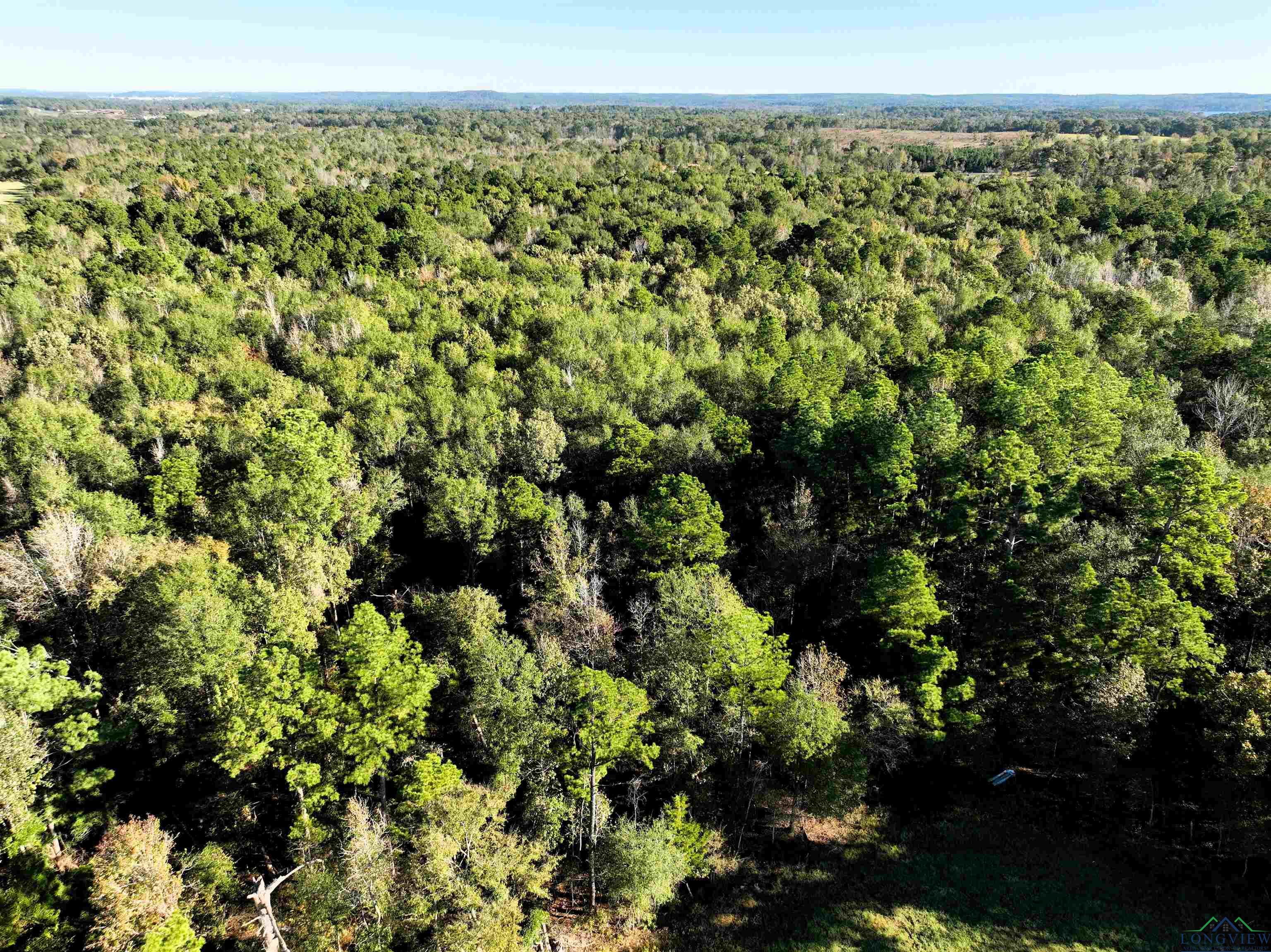 TBD Us 259 33.31 Acres, Ore City, Texas image 9