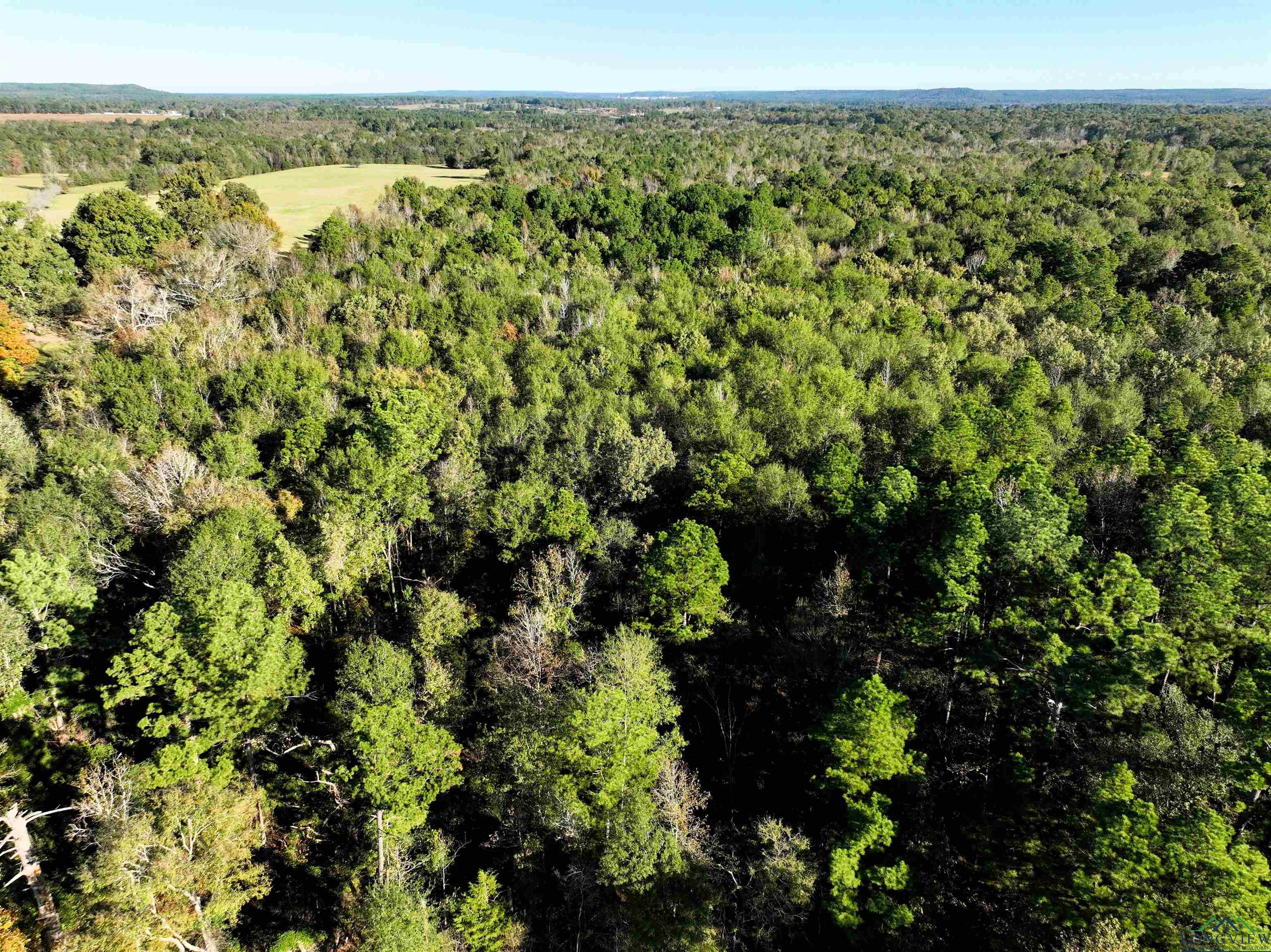 TBD Us 259 33.31 Acres, Ore City, Texas image 10