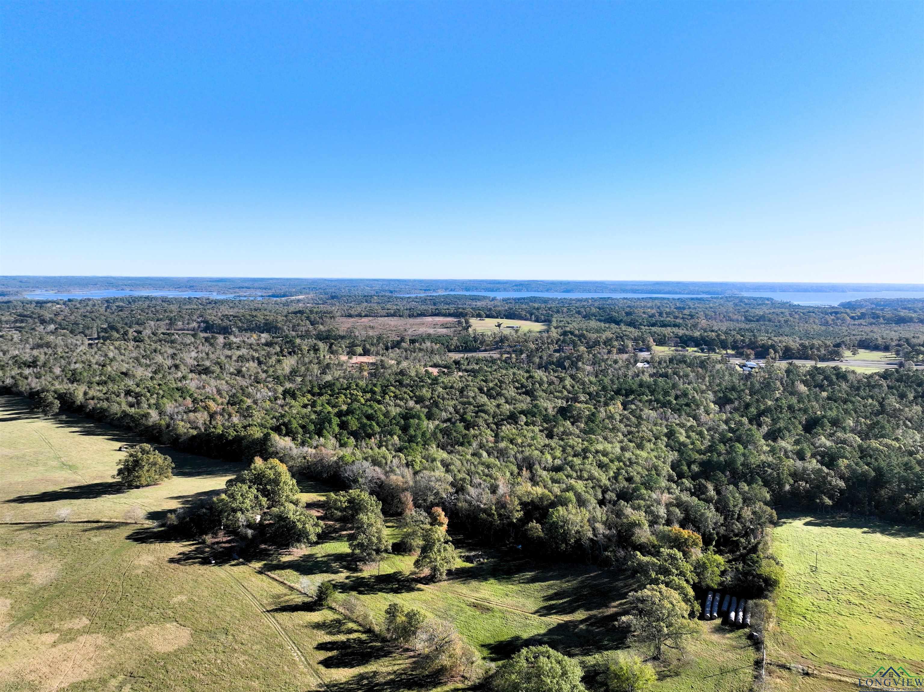 TBD Us 259 33.31 Acres, Ore City, Texas image 7