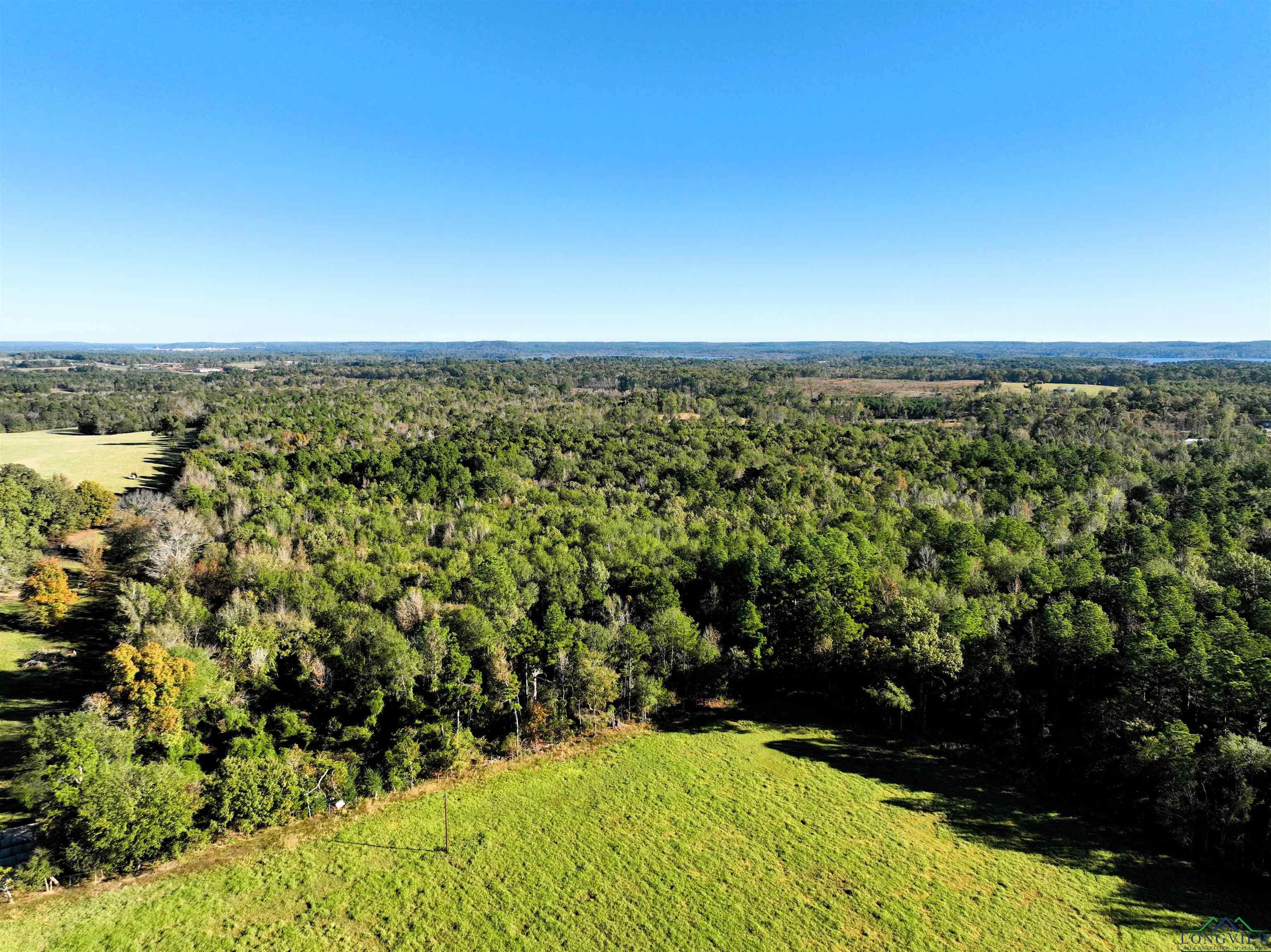 TBD Us 259 33.31 Acres, Ore City, Texas image 8